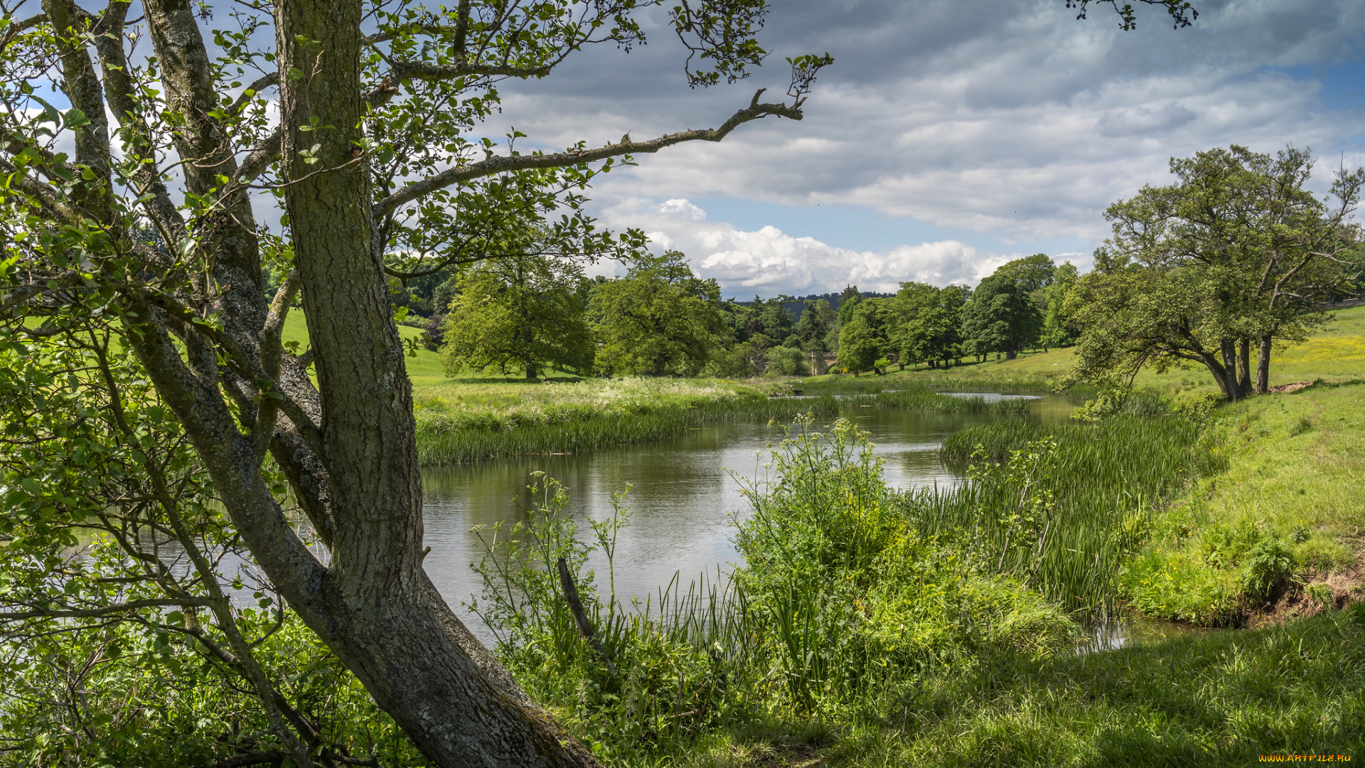 природа, реки, озера, простор
