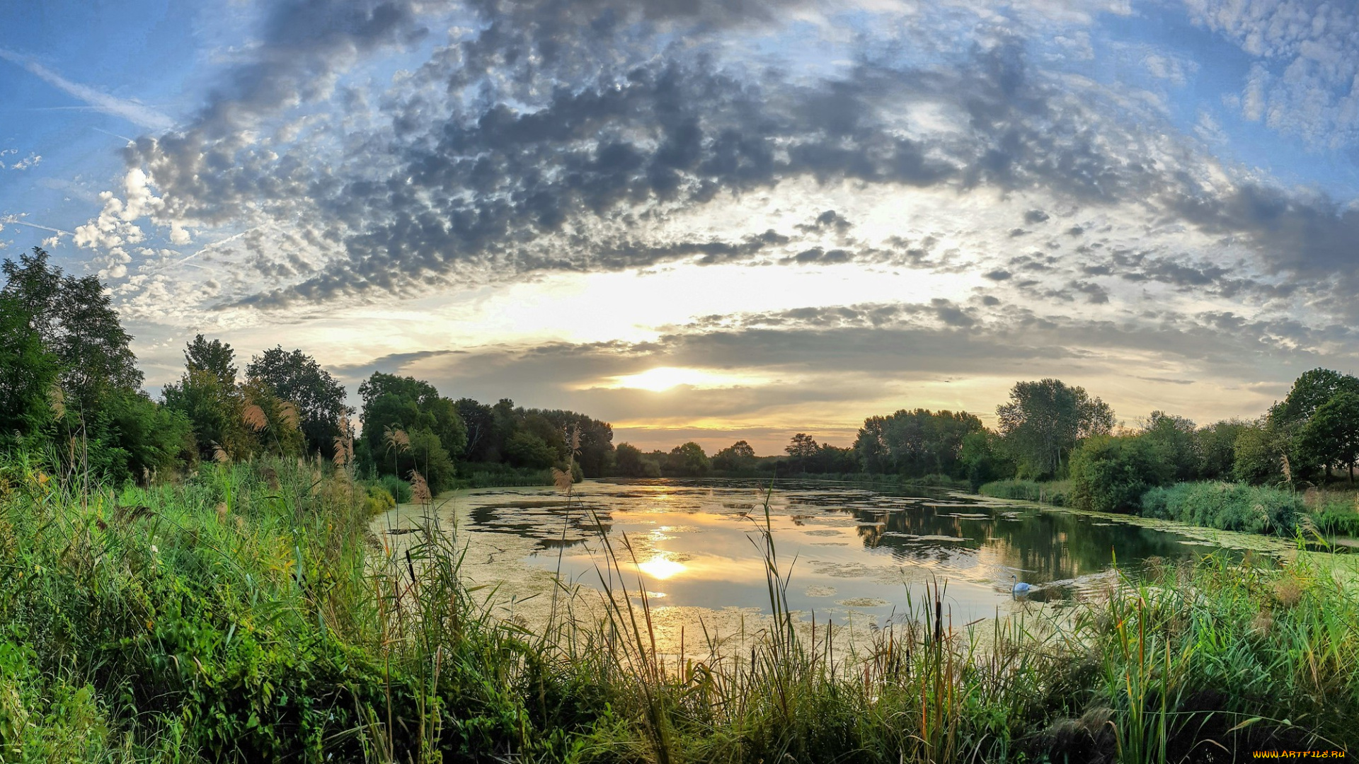 природа, реки, озера, простор