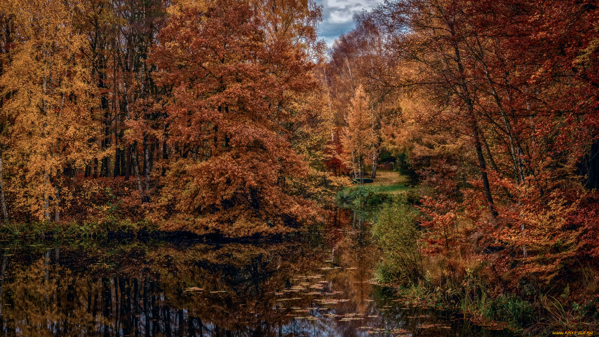 природа, реки, озера, простор