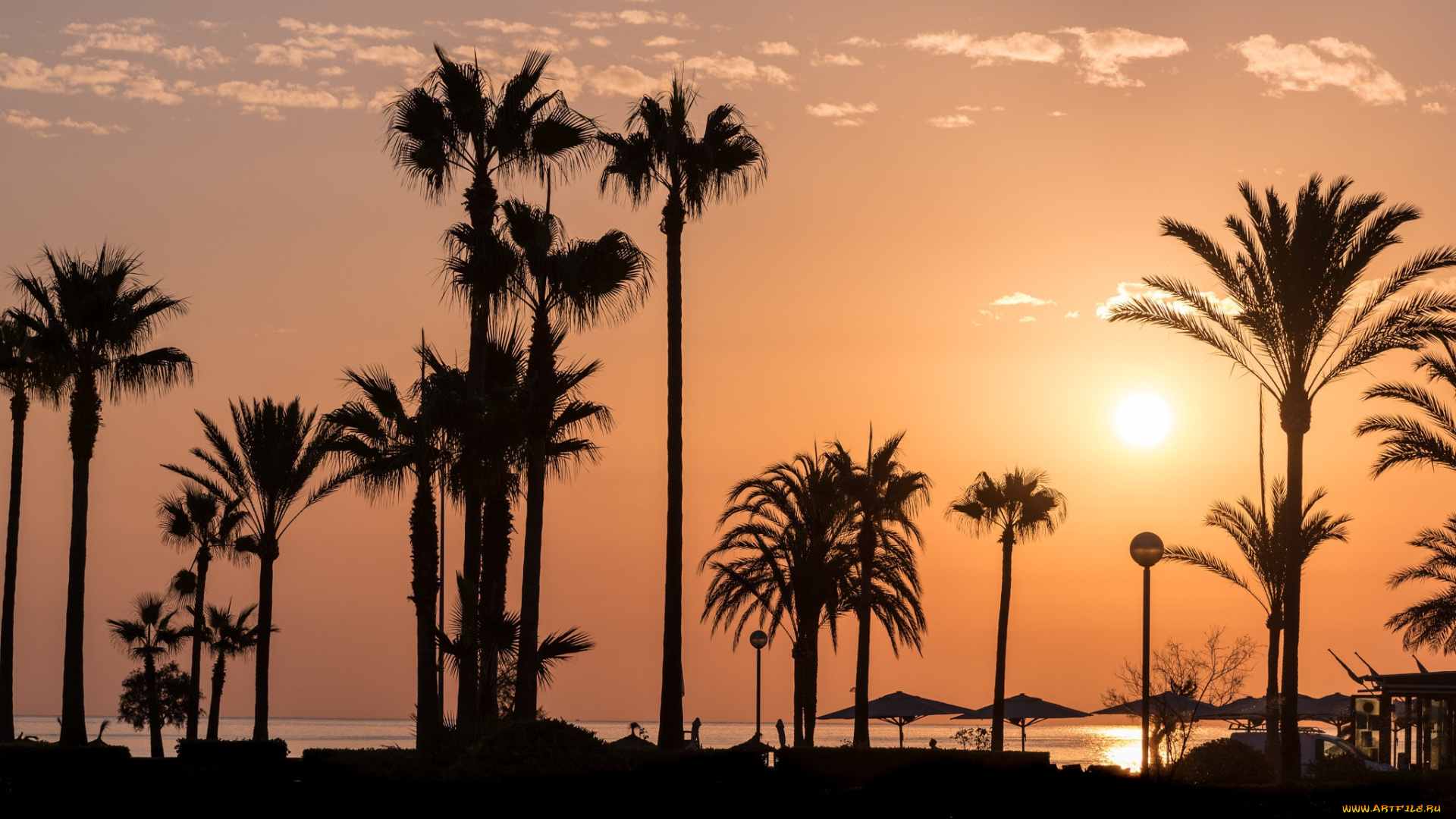 природа, тропики, простор