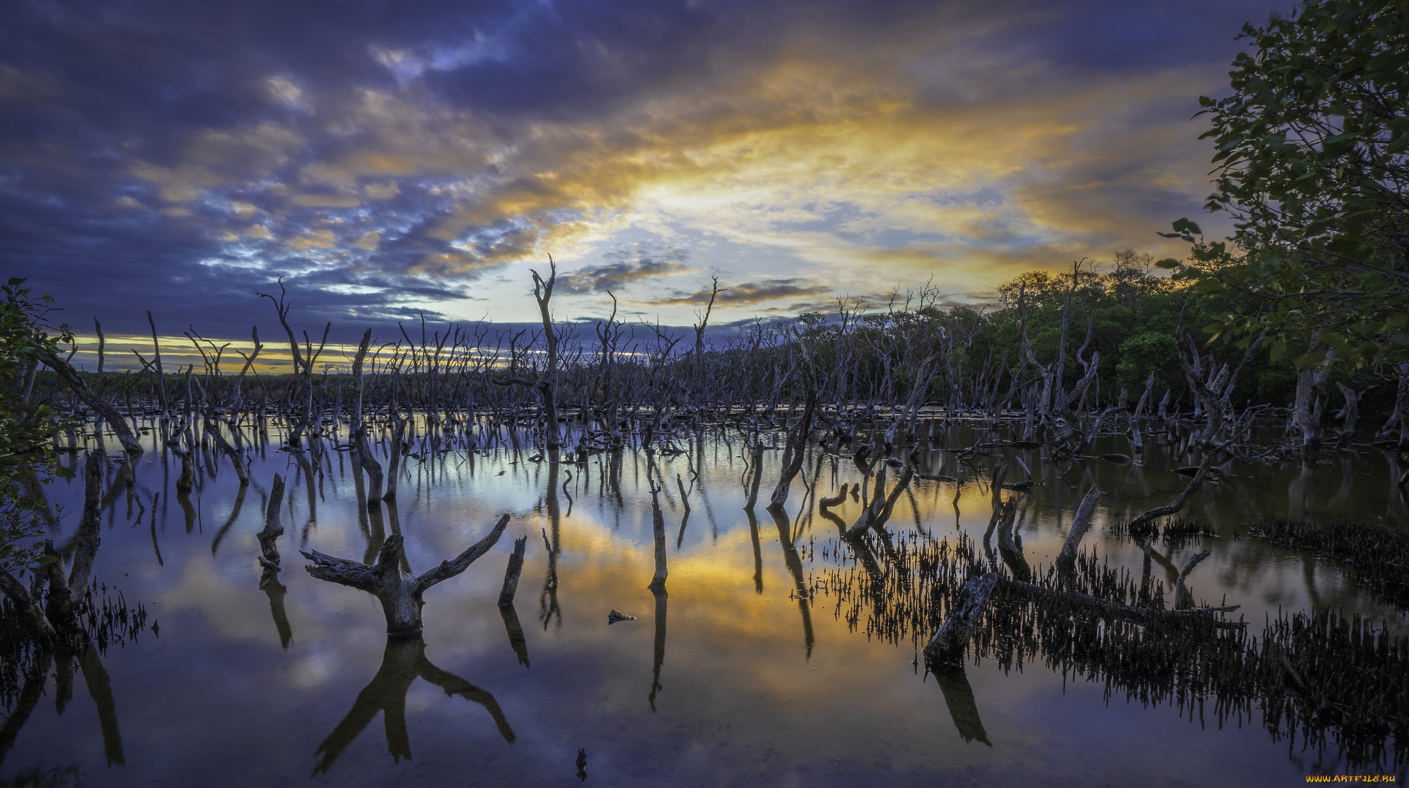 природа, реки, озера, простор