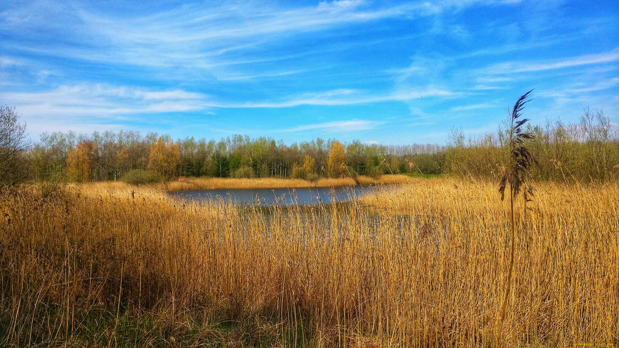 природа, реки, озера, простор