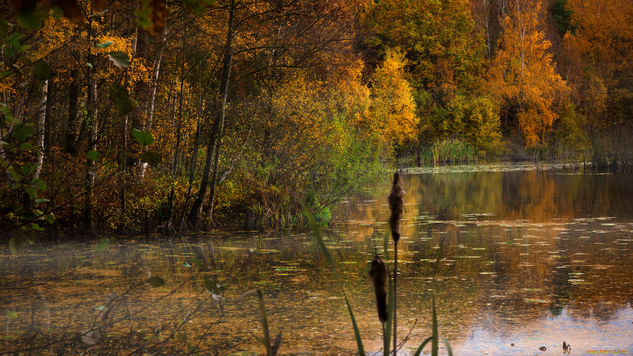 природа, реки, озера, простор