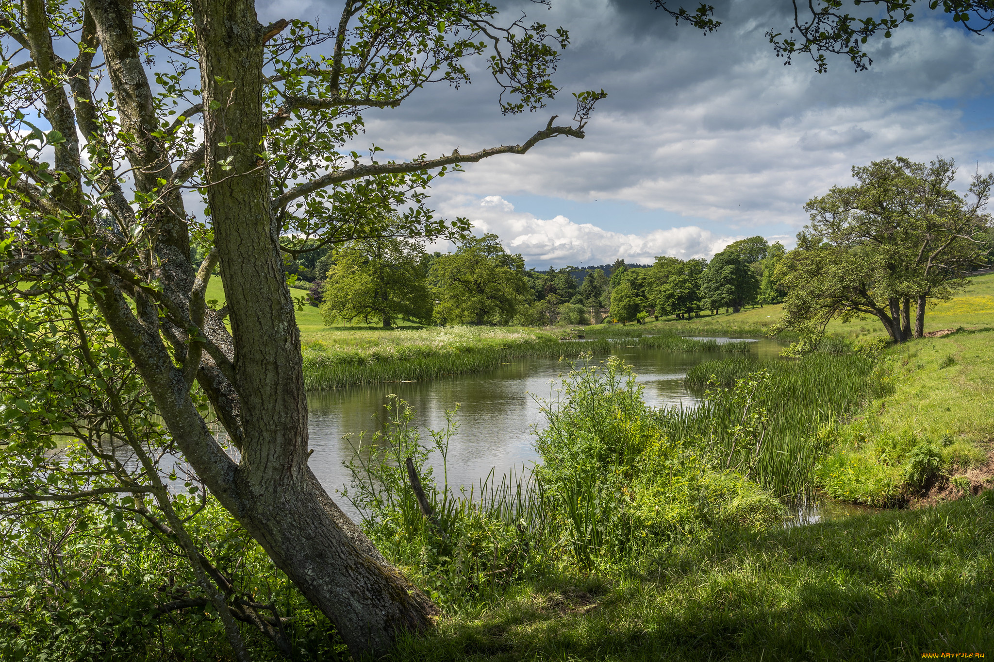 природа, реки, озера, простор