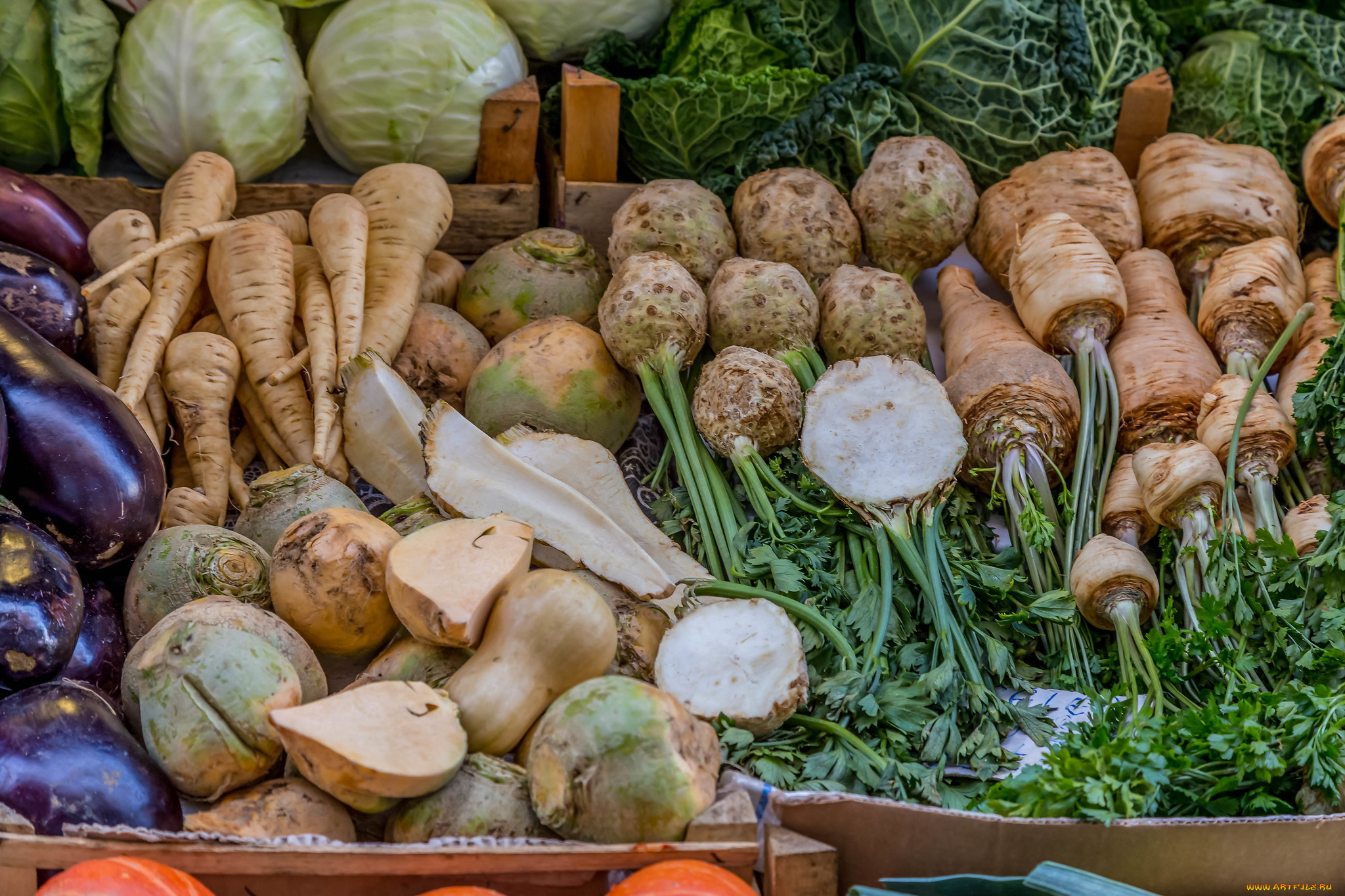 еда, овощи, снедь