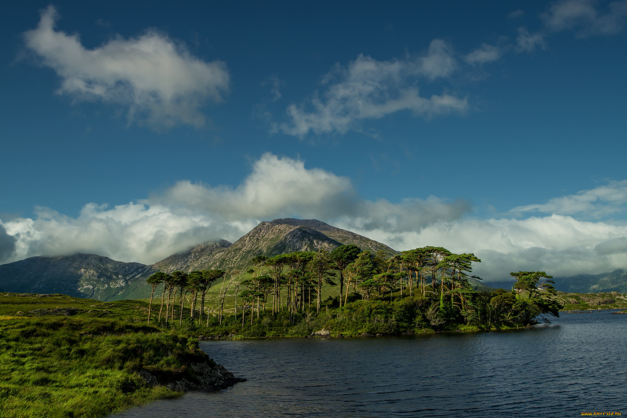 природа, побережье, простор