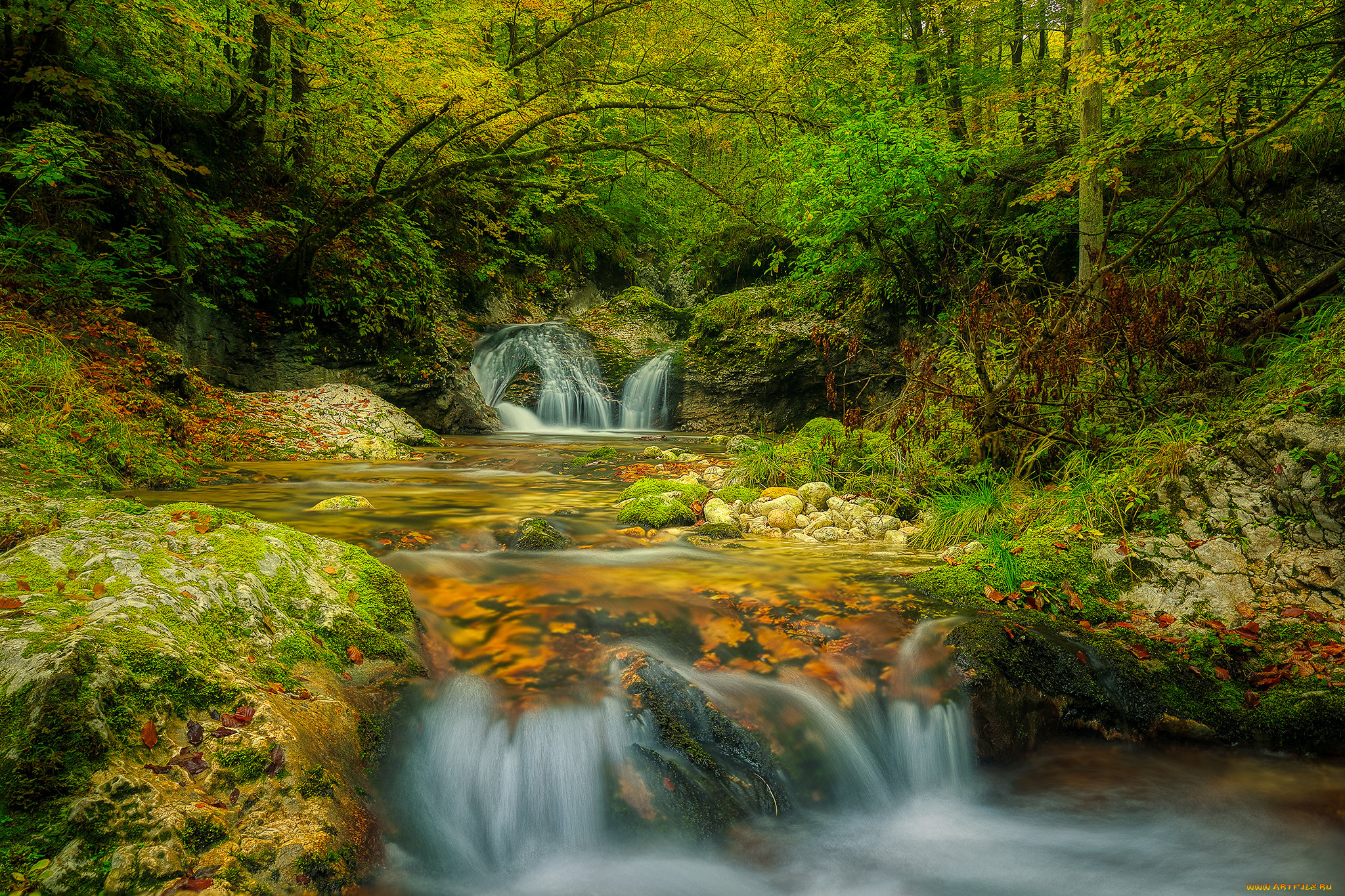 природа, реки, озера, простор