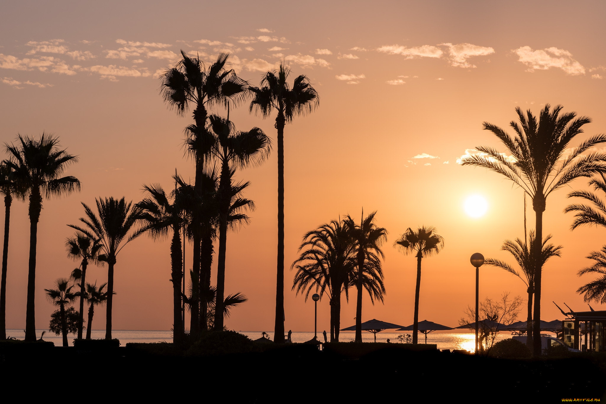 природа, тропики, простор