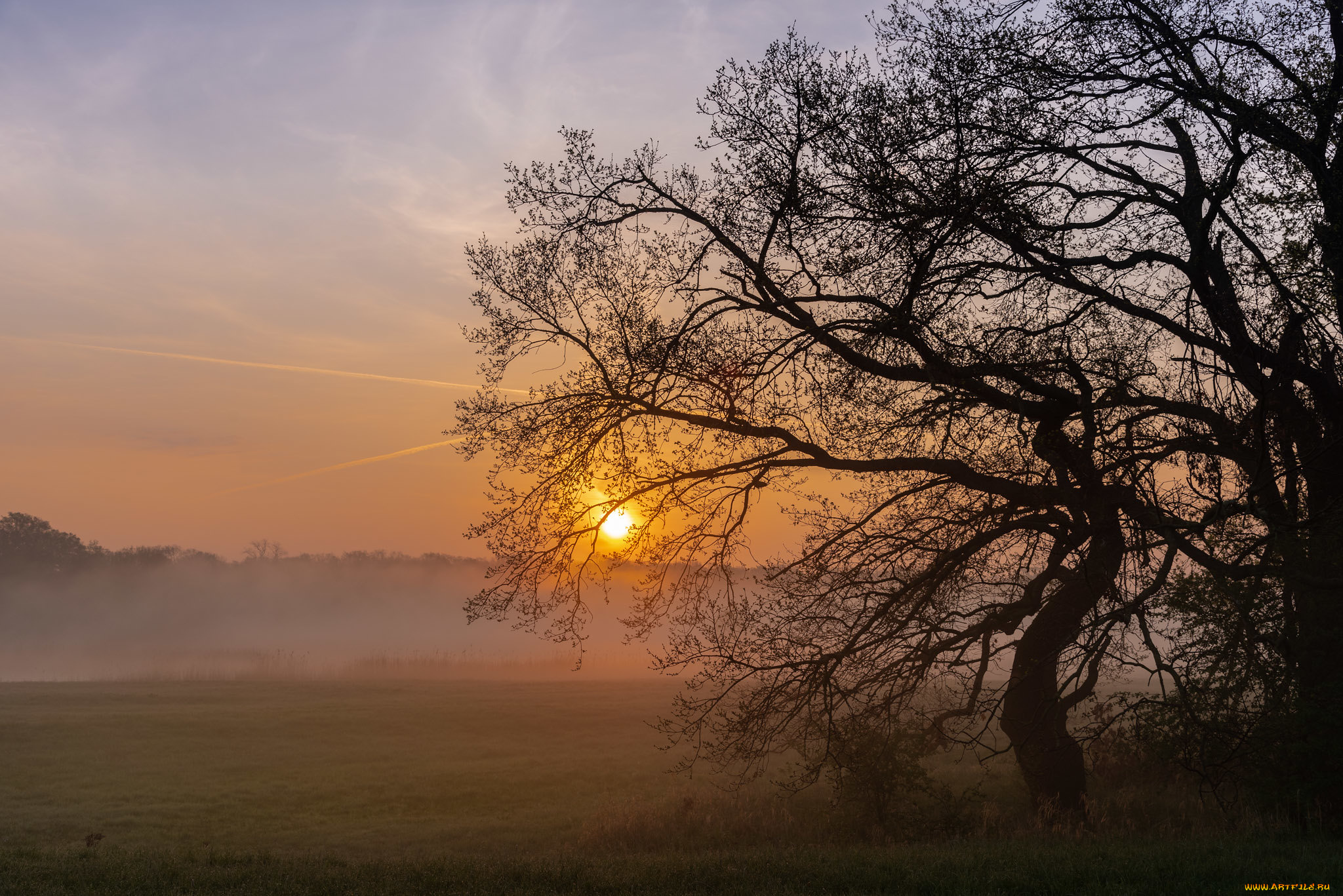природа, восходы, закаты, простор