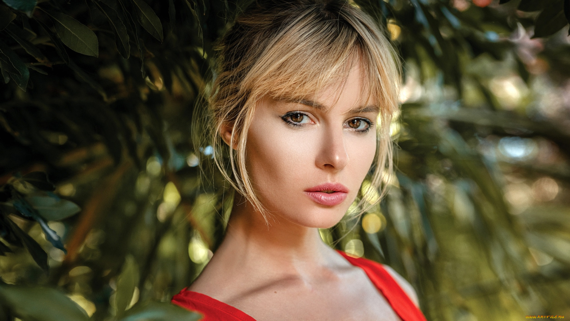 девушки, -, лица, , портреты, блондинка