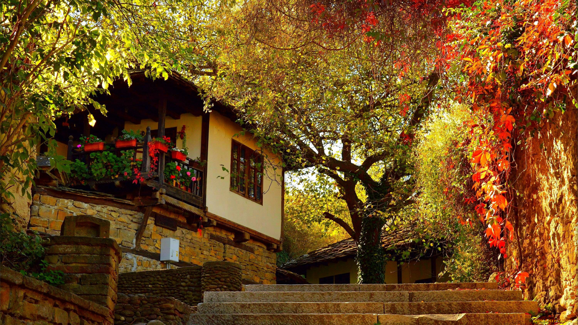 города, -, здания, , дома, осень, дом, ступени, house, fall, autumn