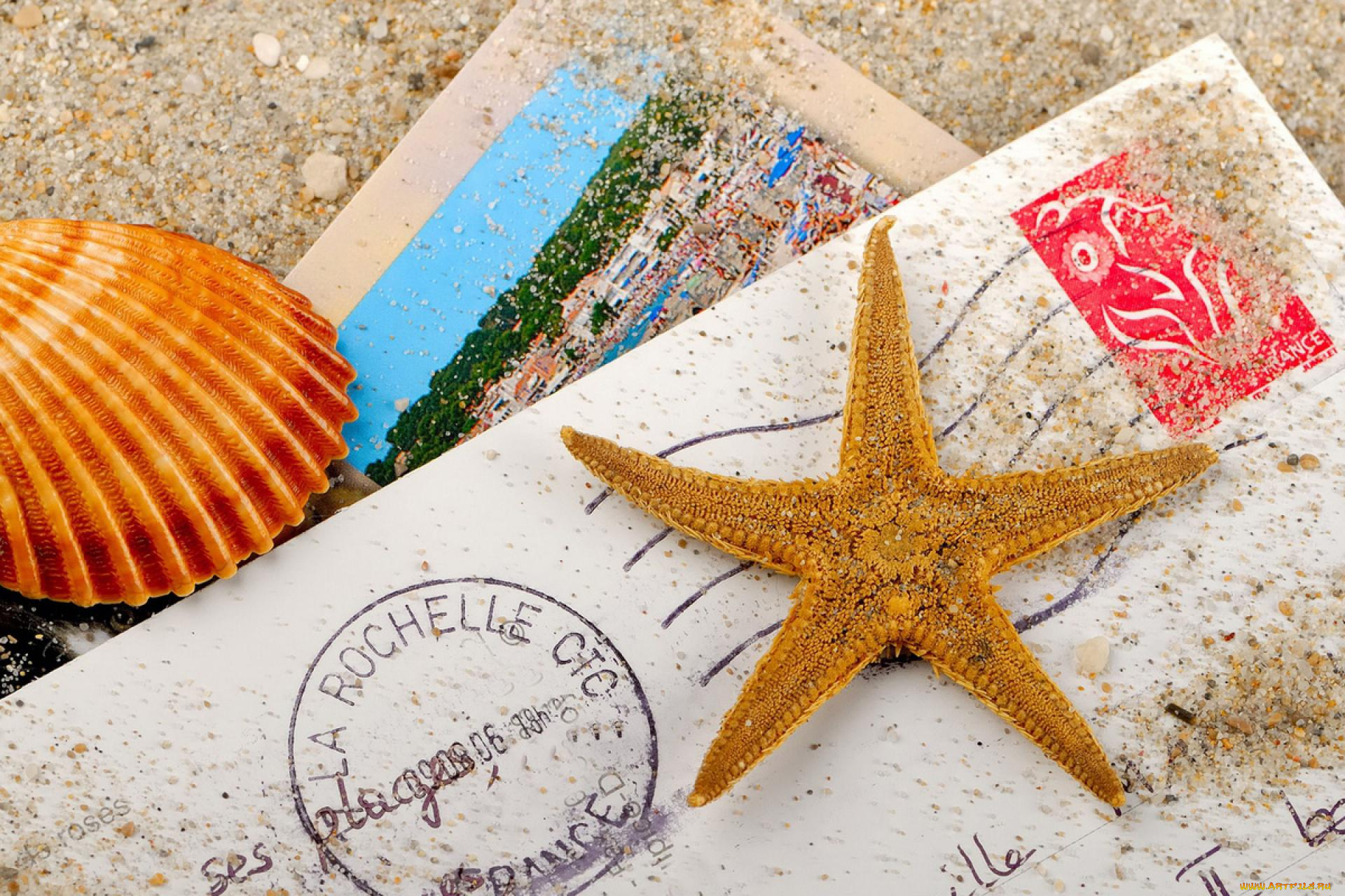 разное, ракушки, , кораллы, , декоративные, и, spa-камни, ракушка, песок, морская, звезда, письмо, конверт, фотография, открытка