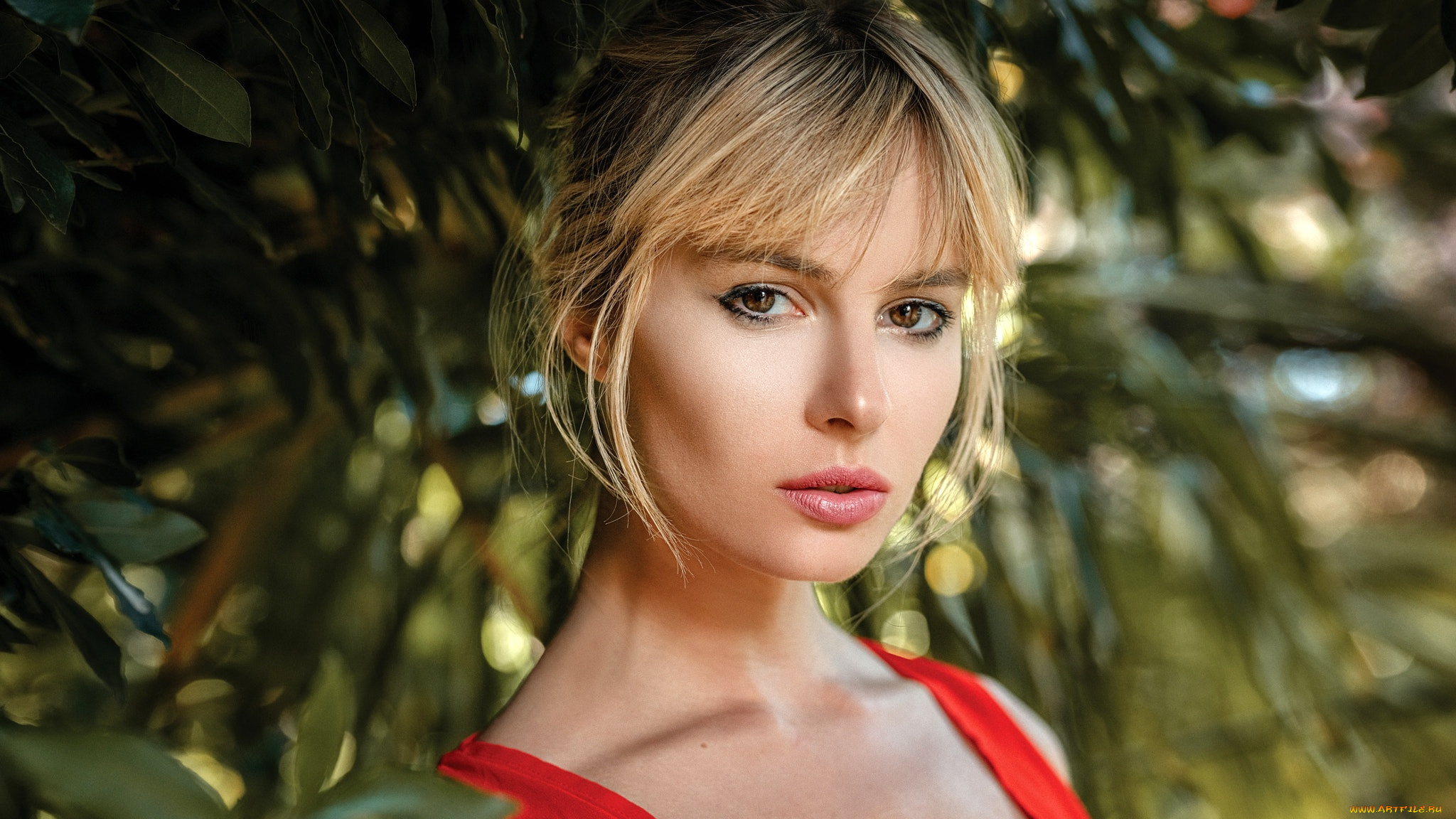 девушки, -, лица, , портреты, блондинка