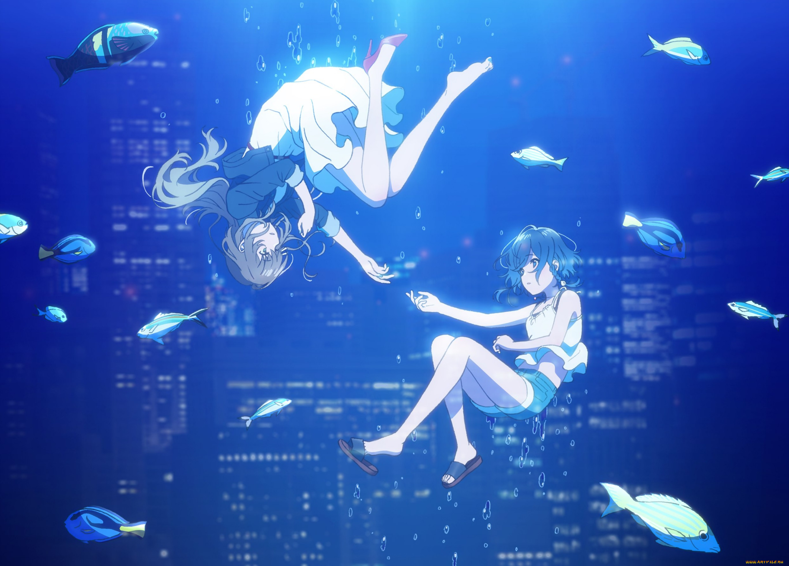 shiroi, suna, no, aquatope, аниме, aquatope, of, white, sand