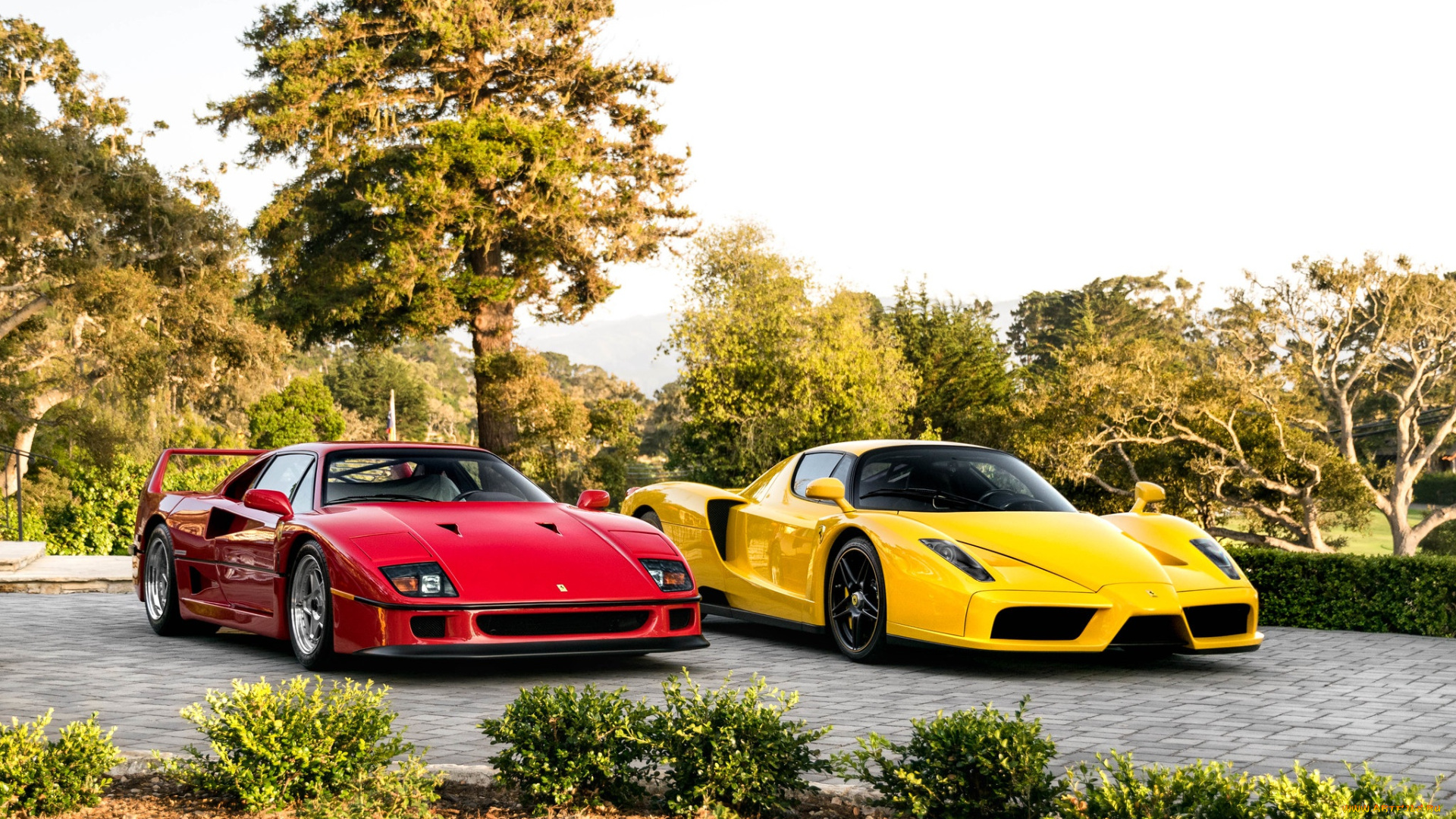 автомобили, разные, вместе, red, f40, enzo, yellow