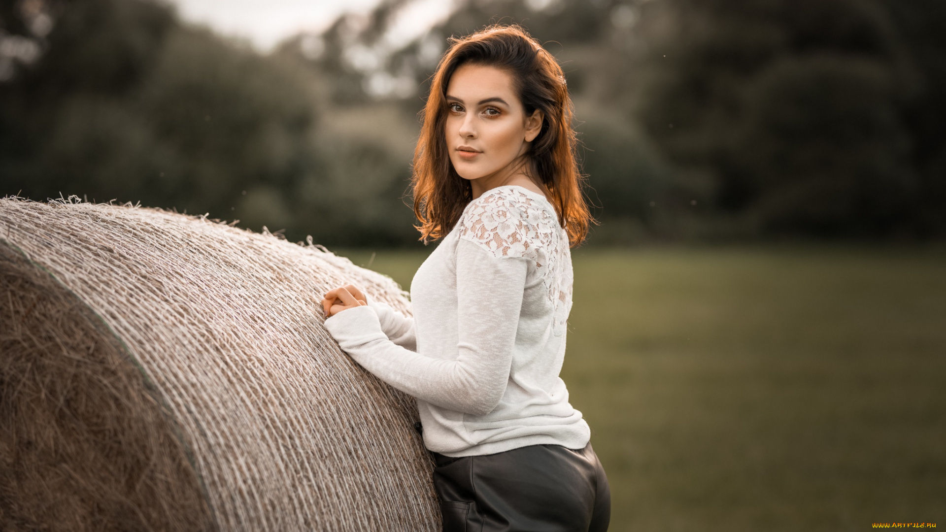 девушки, -, брюнетки, , шатенки, анна, магдалена, автор, книги, аппетит, поле, сено, author, oreskis