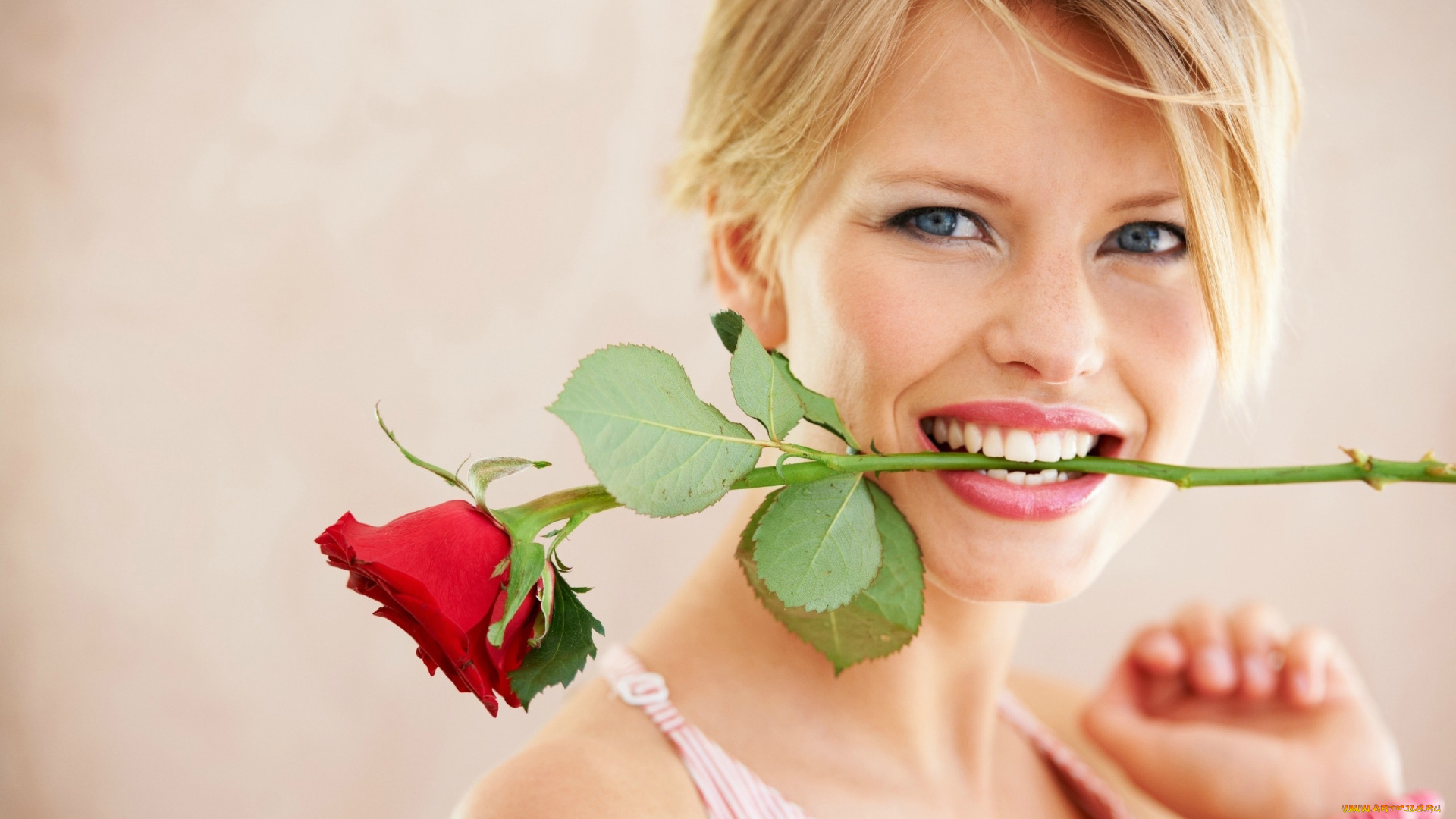 девушки, -, лица, , портреты, блондинка, улыбка, роза
