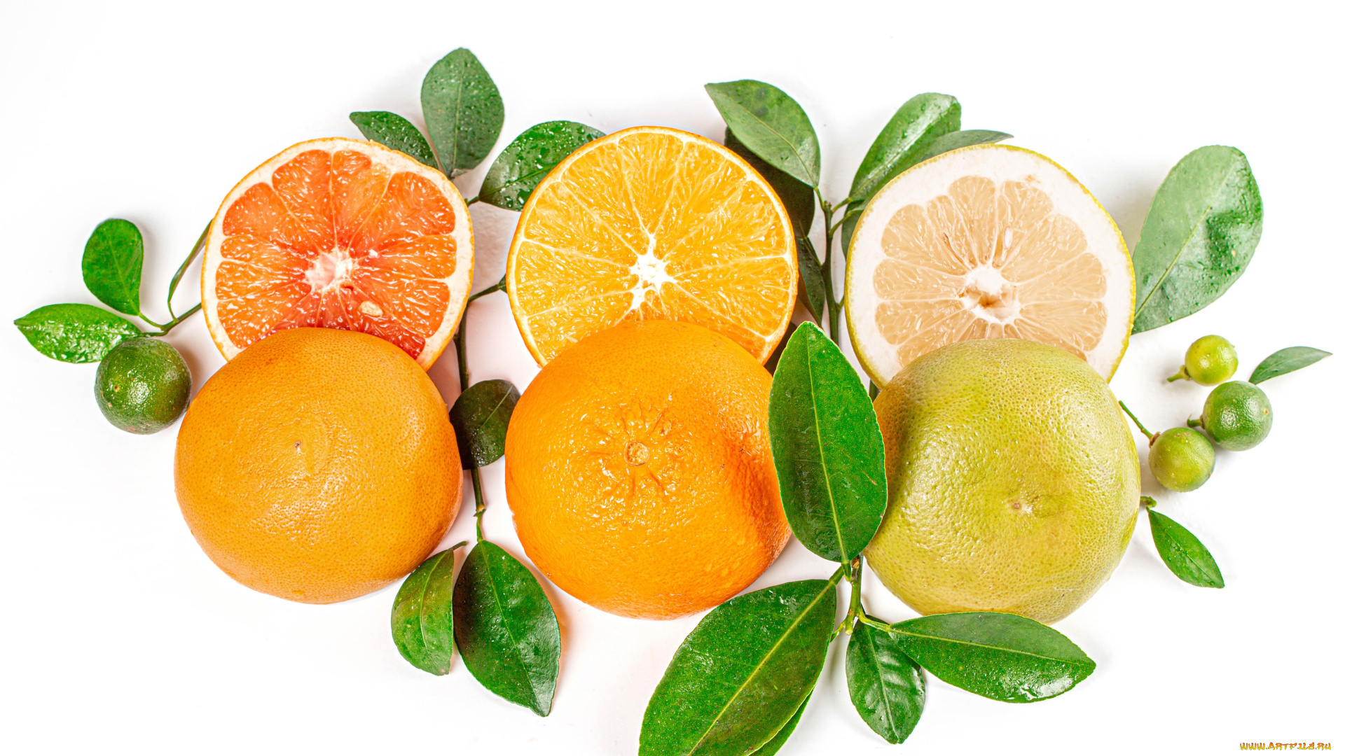 еда, фрукты, , ягоды, ветки, апельсин, грейпфрут, лимоны, цитрусовые