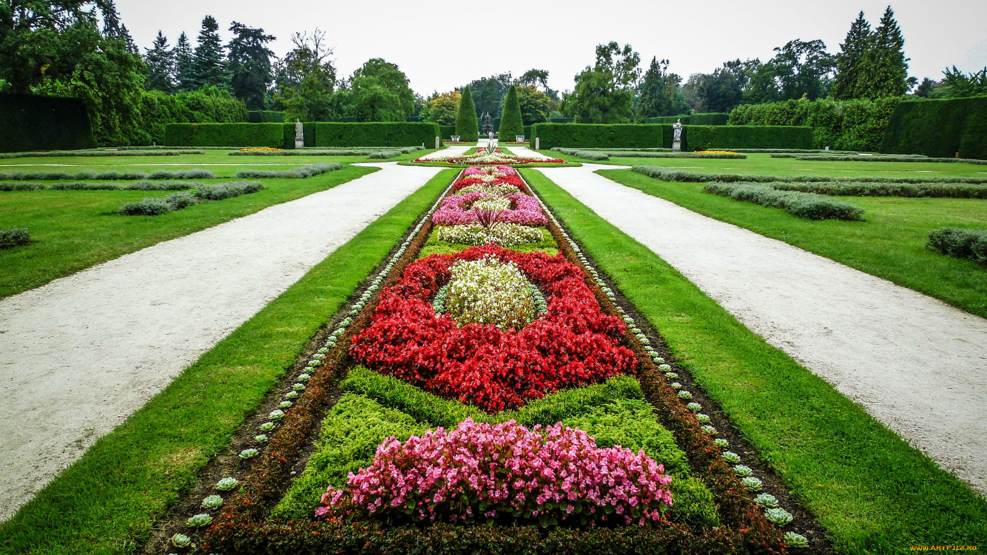 природа, парк, клумба