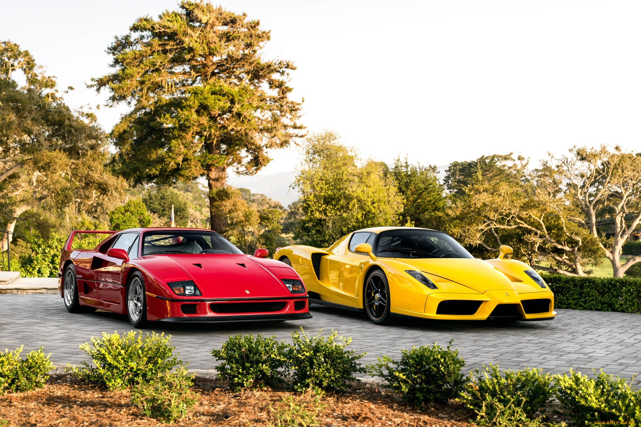 автомобили, разные, вместе, red, f40, enzo, yellow
