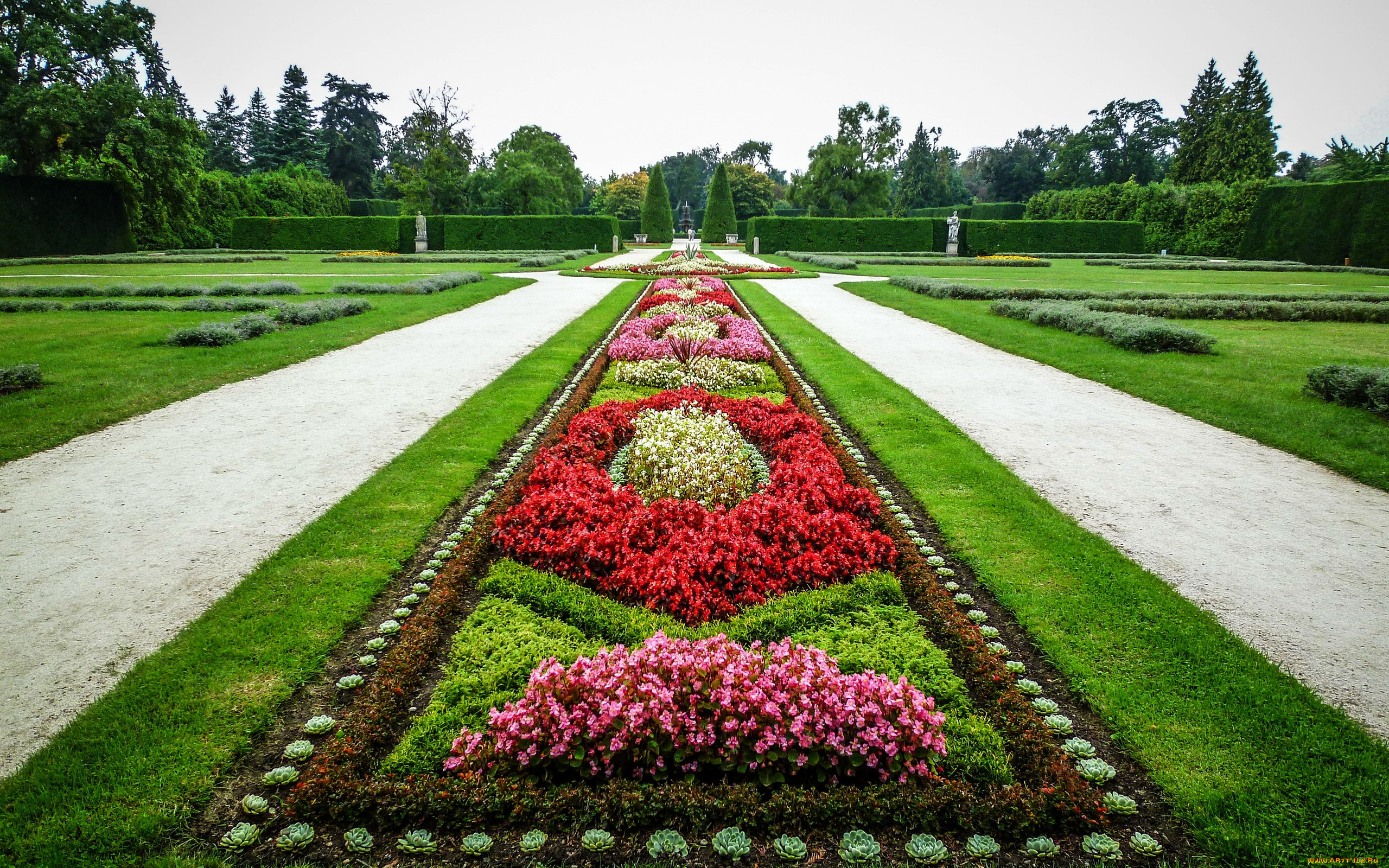 природа, парк, клумба