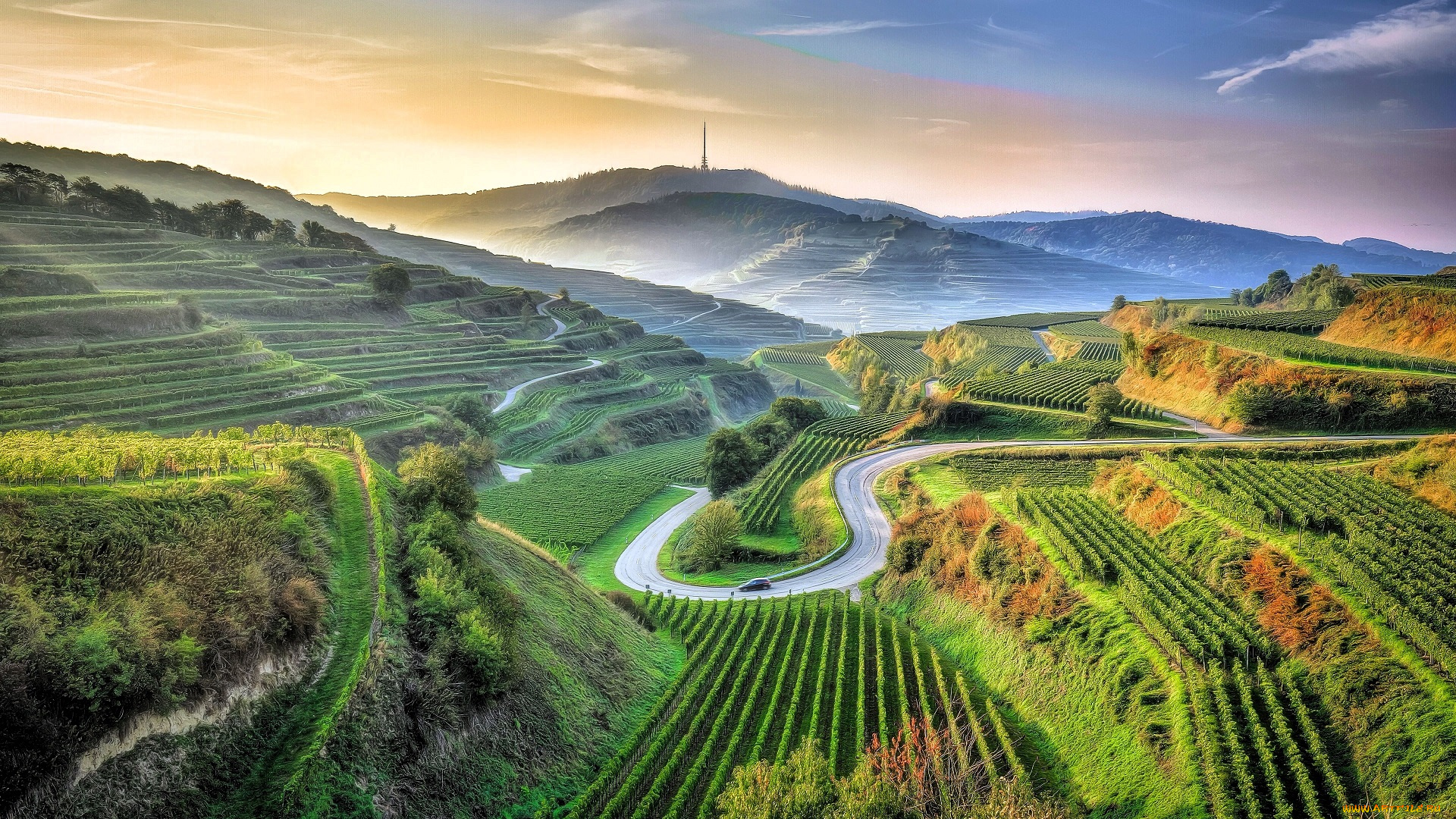 природа, поля, холмы, дорога, машина