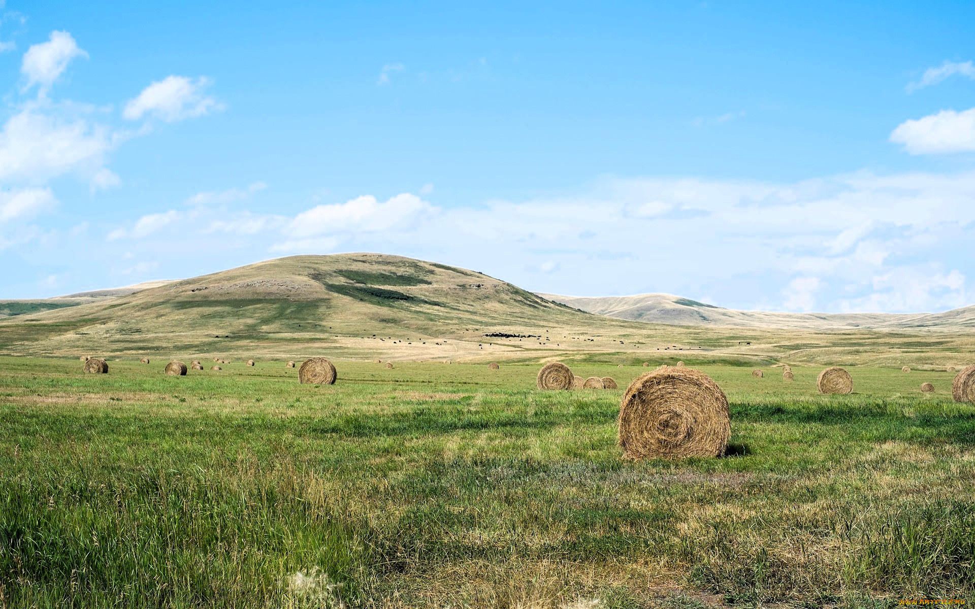 природа, луга, горы, трава, стога, сено
