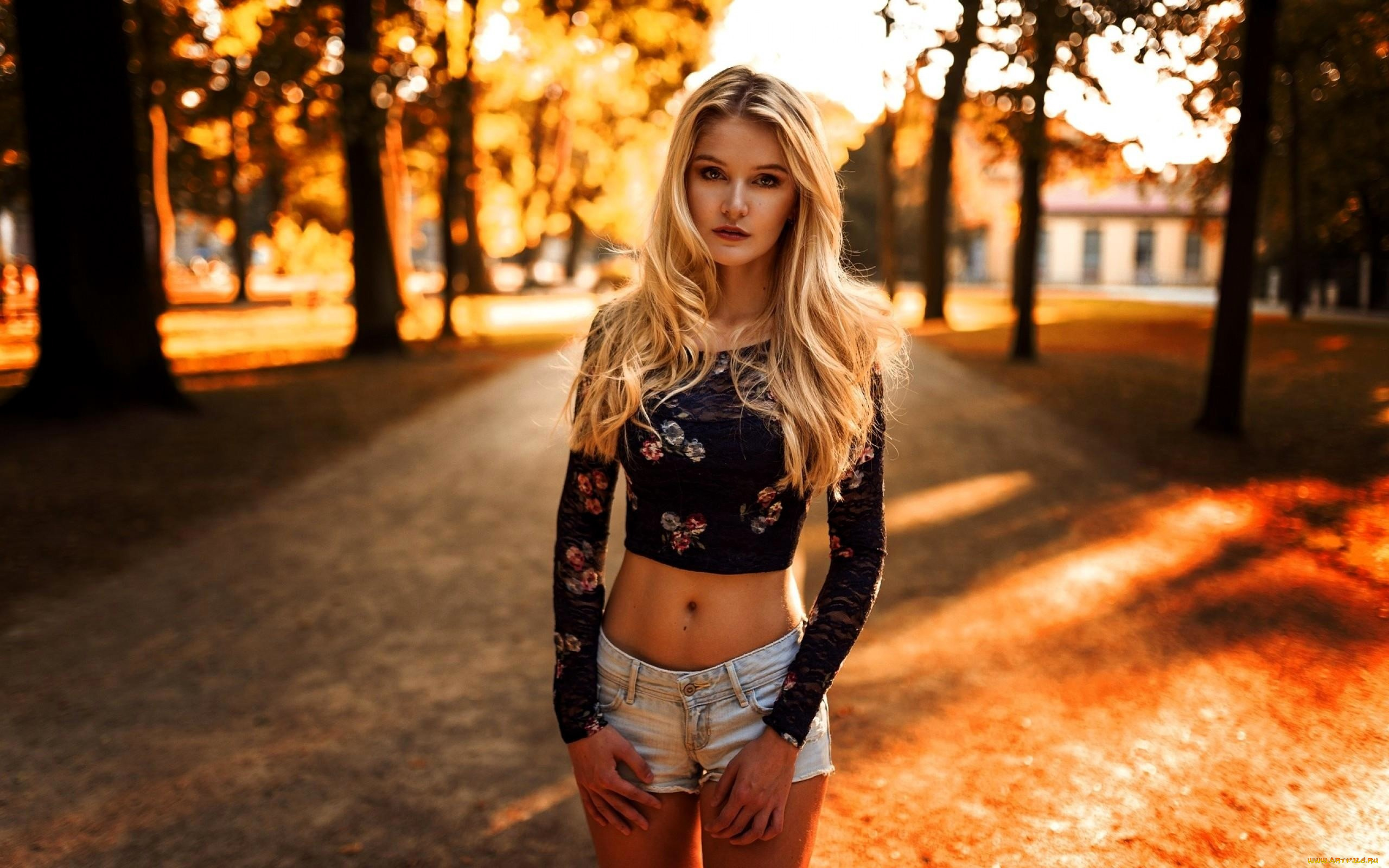 девушки, -, блондинки, , светловолосые, блондинка, топ, шорты, осень, деревья, дорога