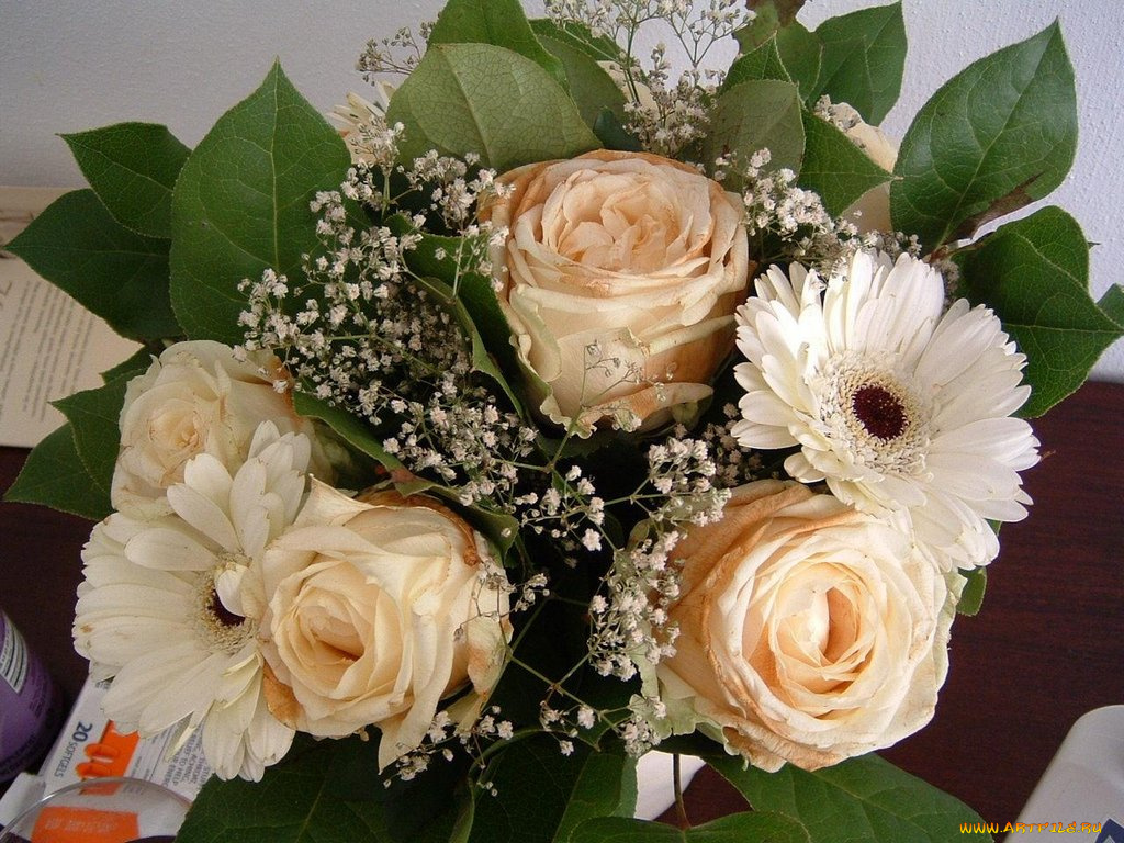 цветы, букеты, композиции