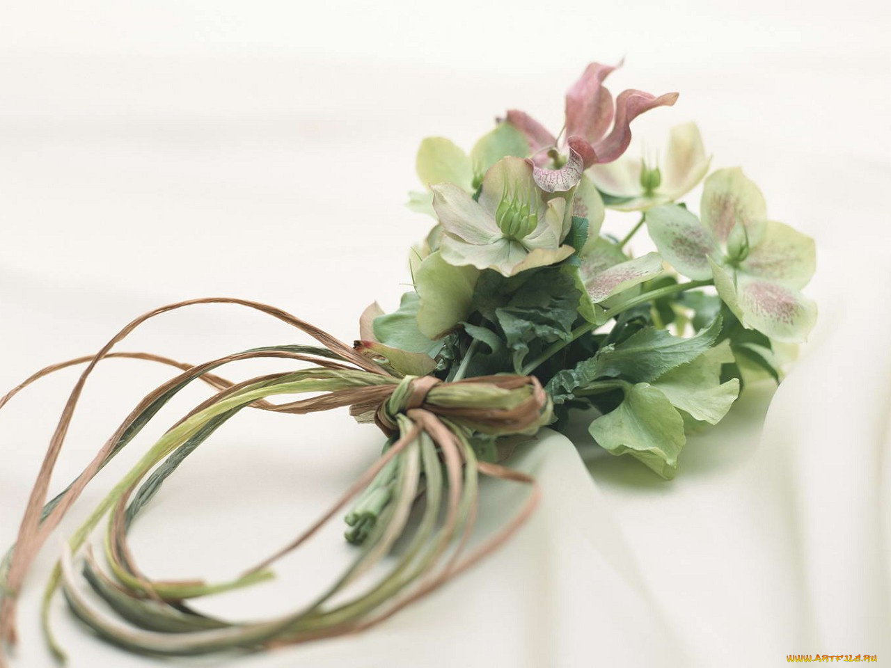 цветы, букеты, композиции