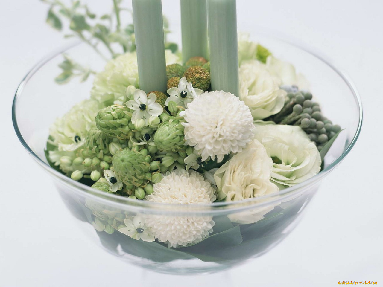 цветы, букеты, композиции