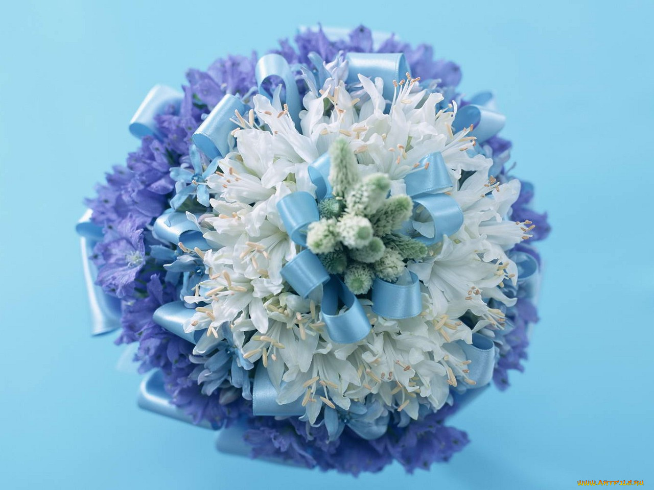 цветы, букеты, композиции