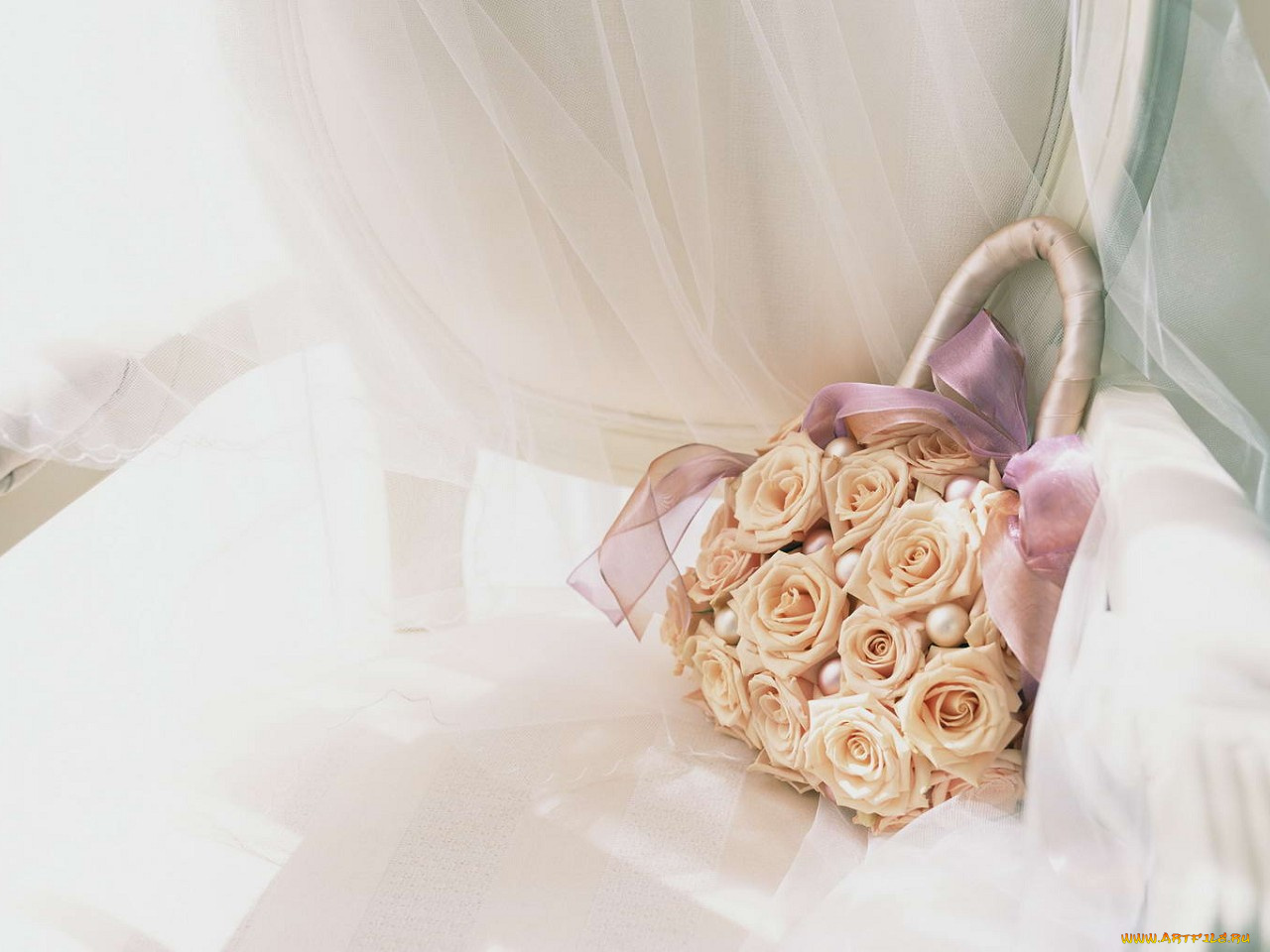 цветы, розы