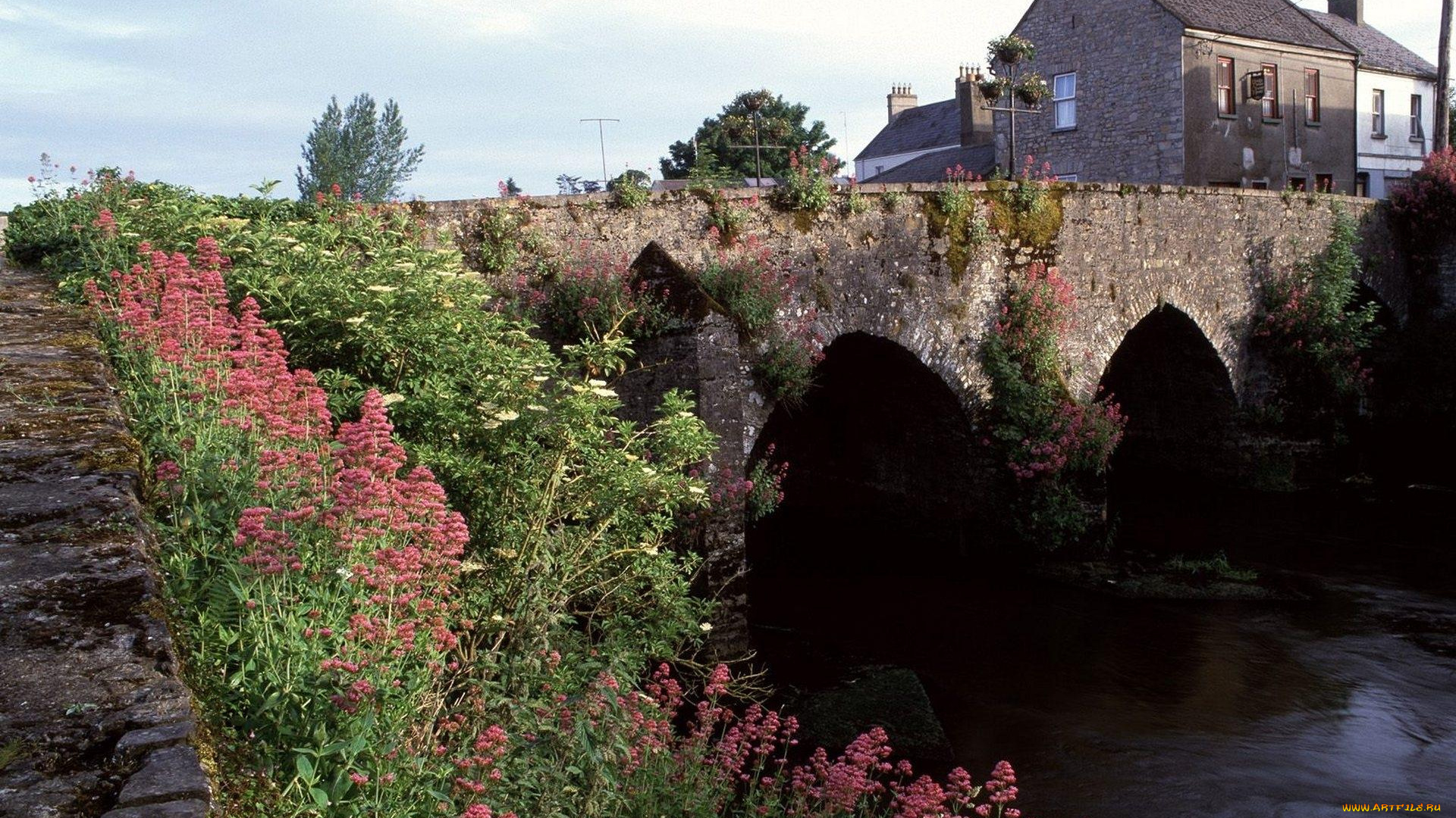 river, boyne, county, meath, ireland, города, мосты