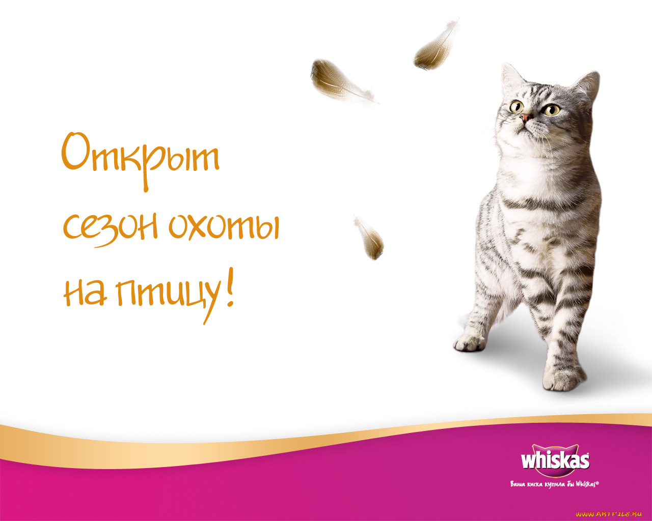 бренды, whiskas