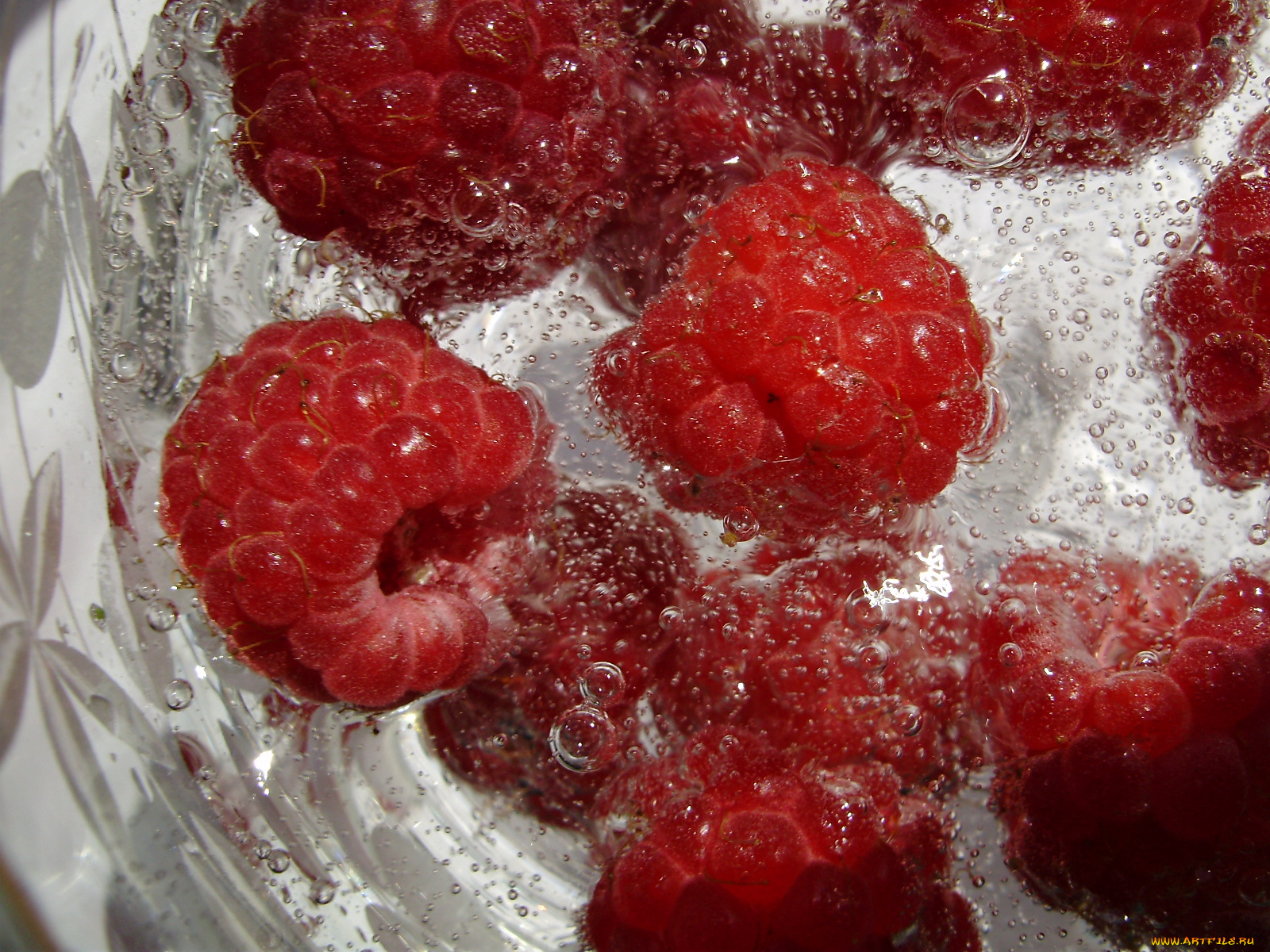 еда, малина