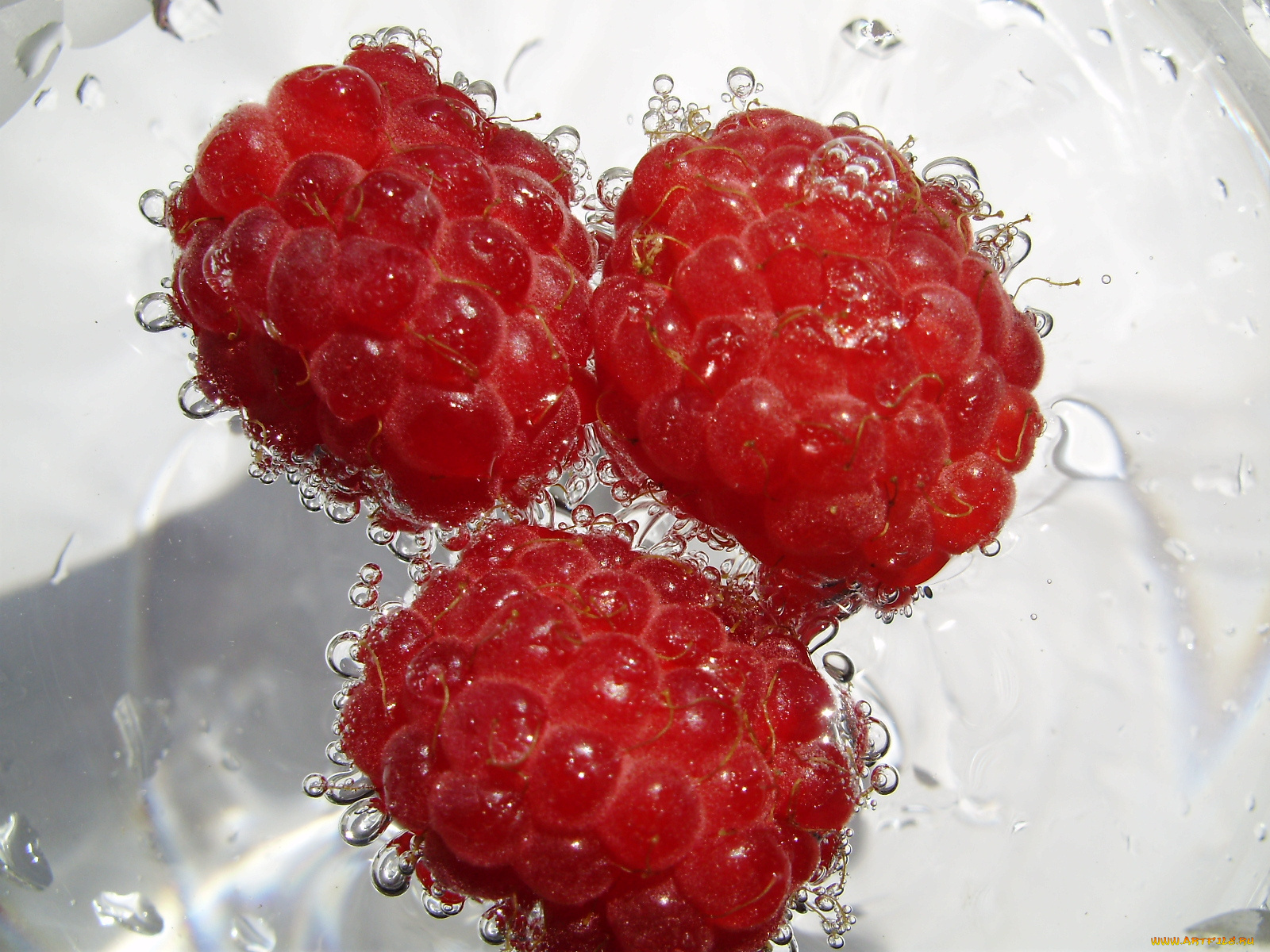 еда, малина