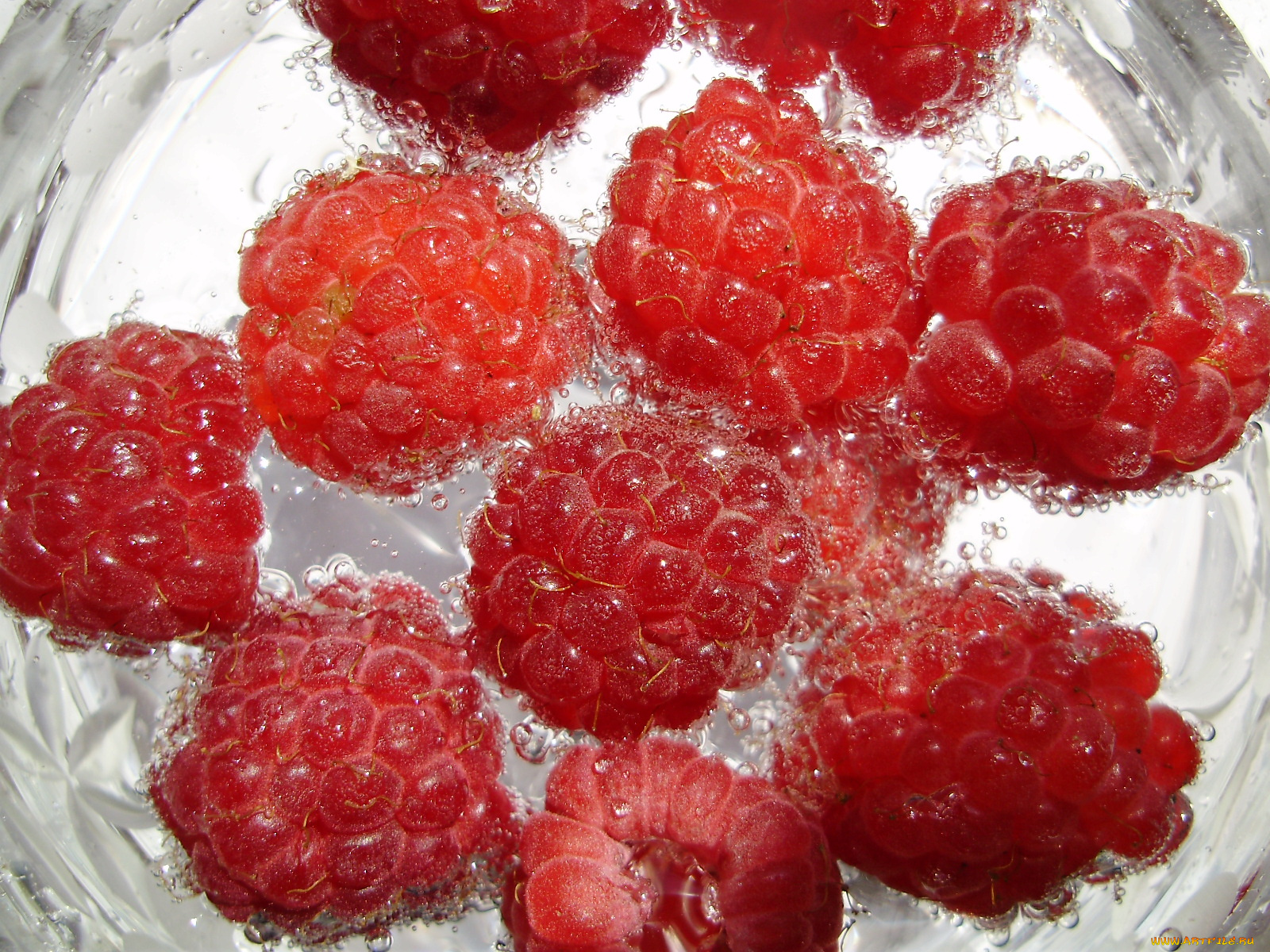 еда, малина