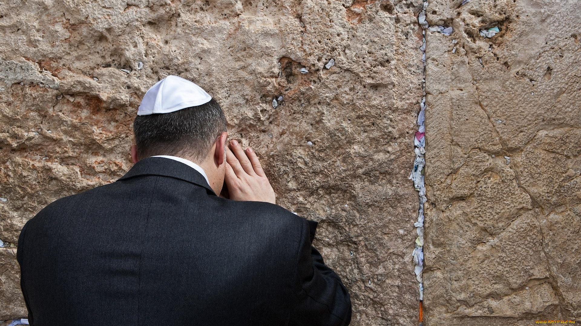 автор, сергей, доля, мужчины, unsort