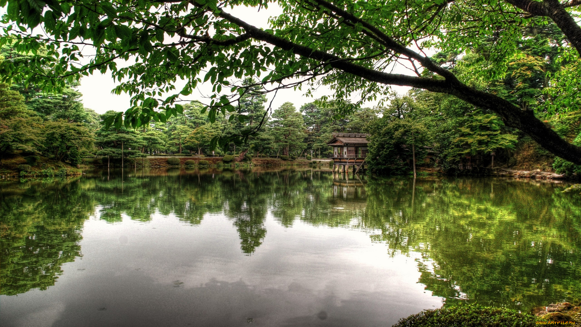 природа, парк