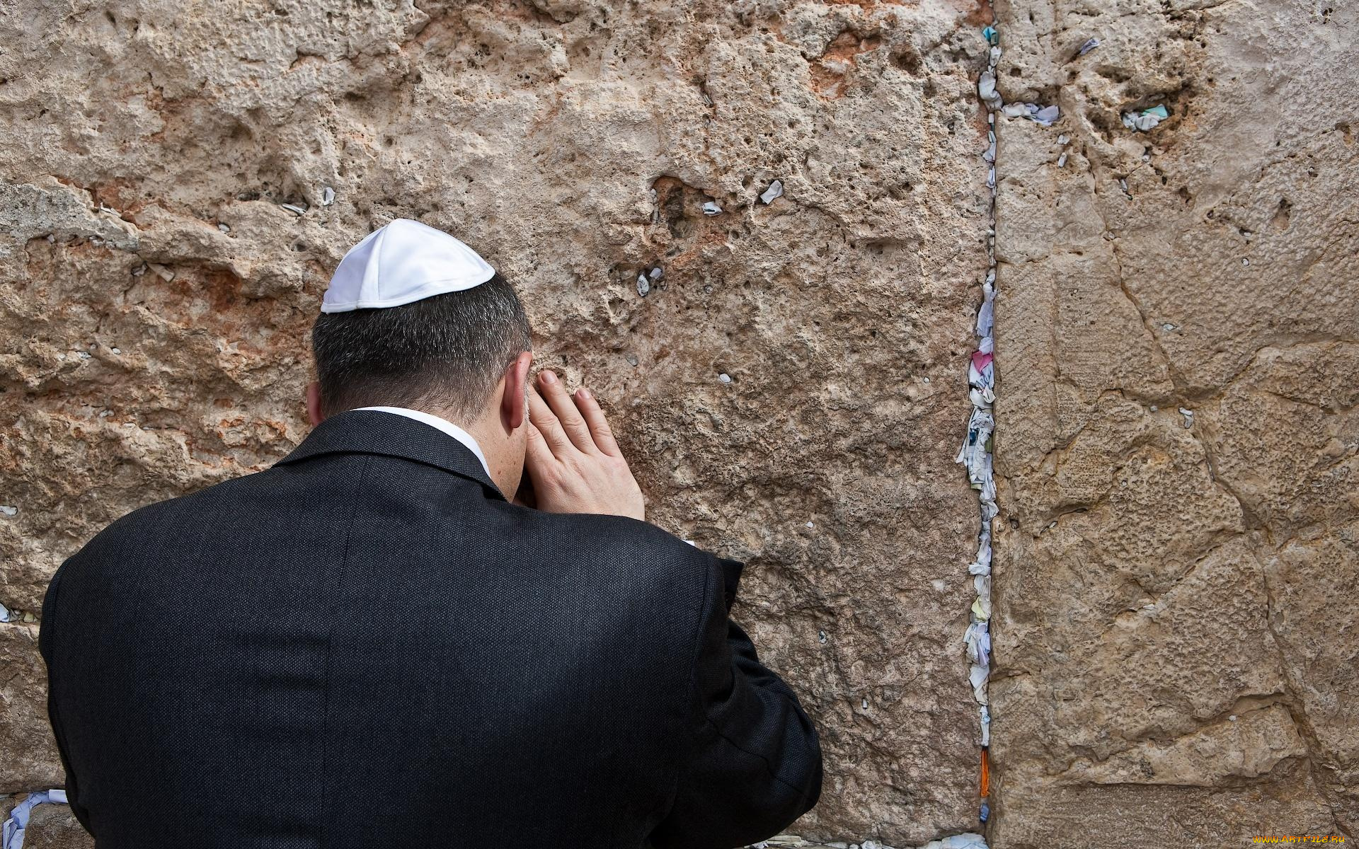 автор, сергей, доля, мужчины, unsort