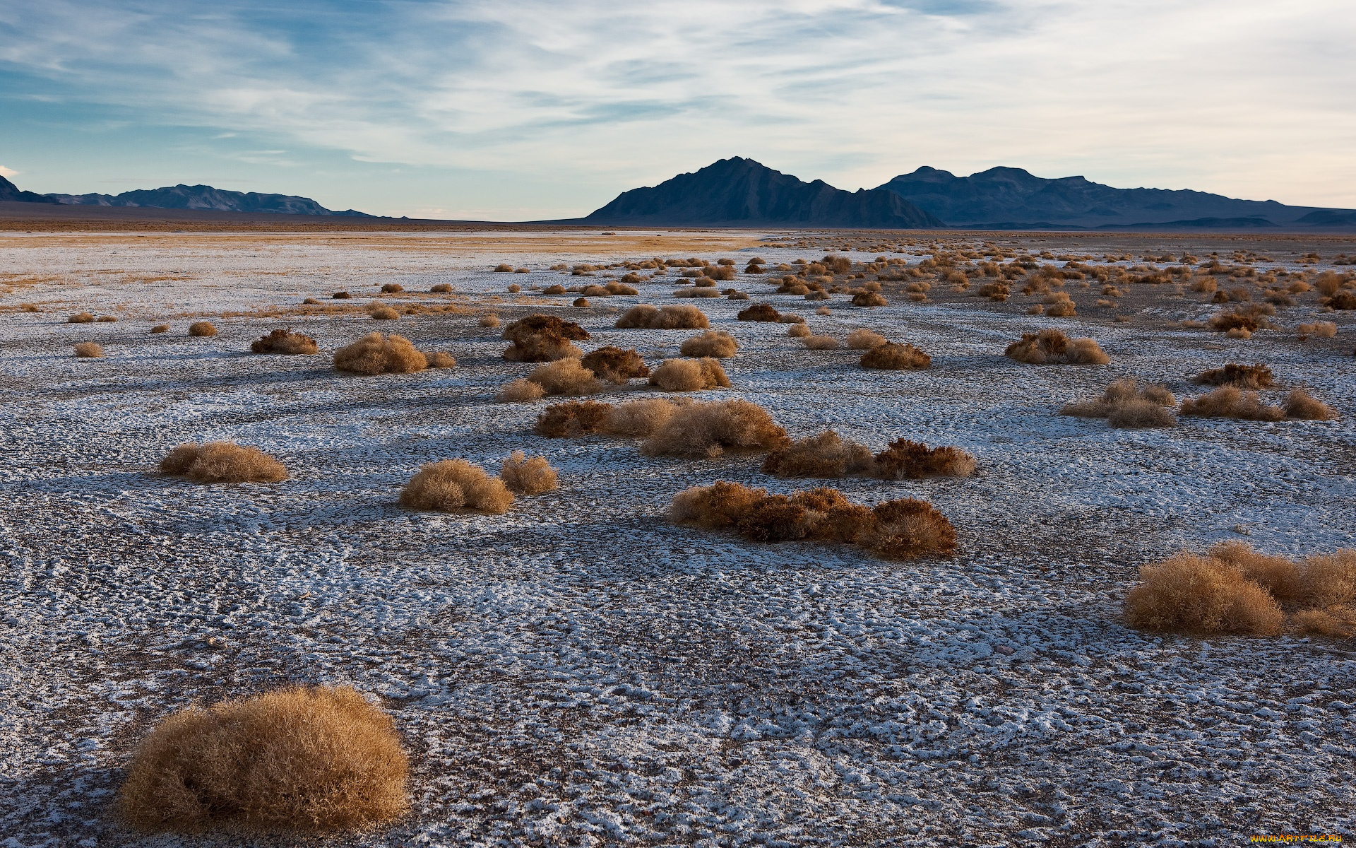 автор, сергей, доля, природа, пустыни