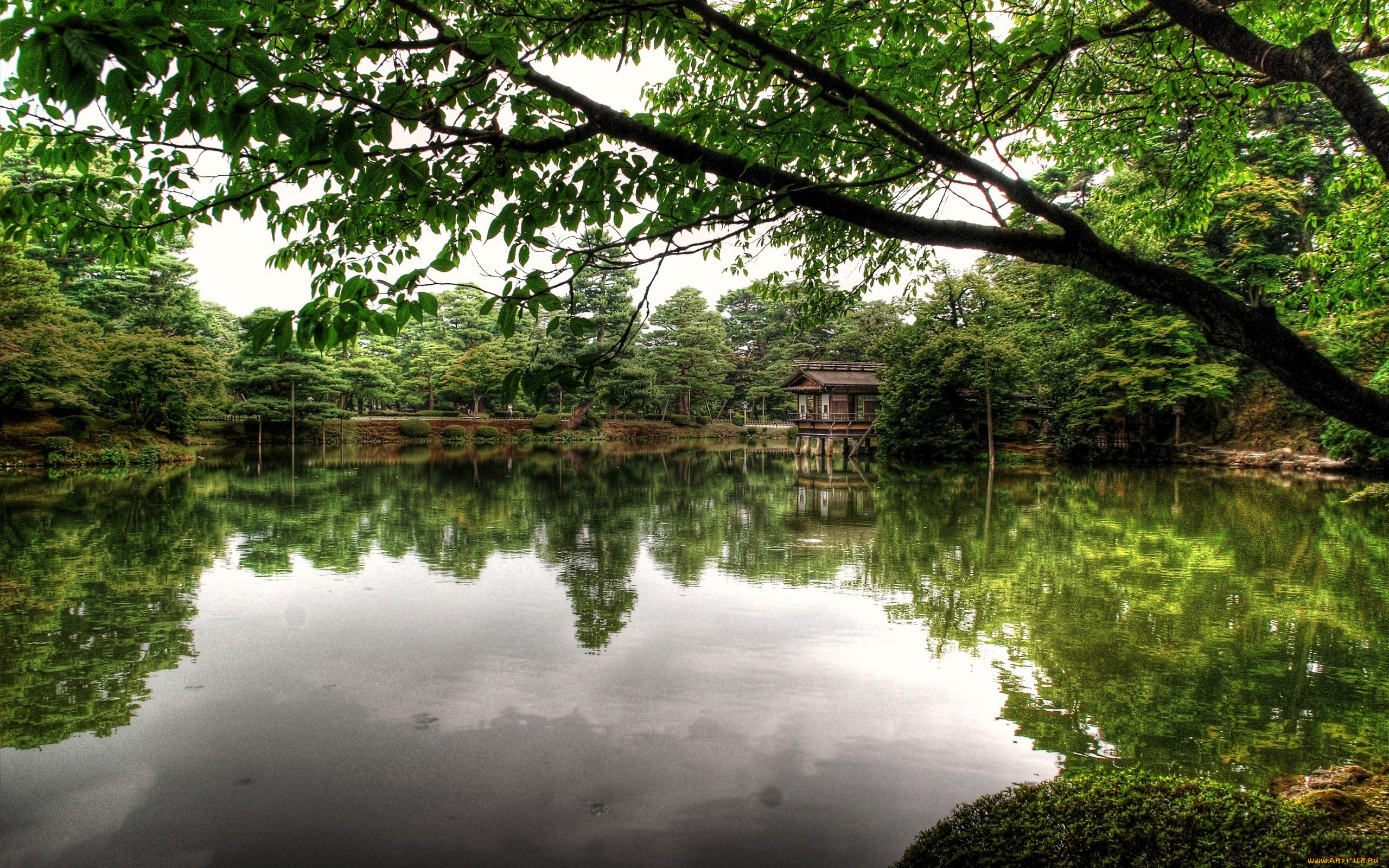 природа, парк