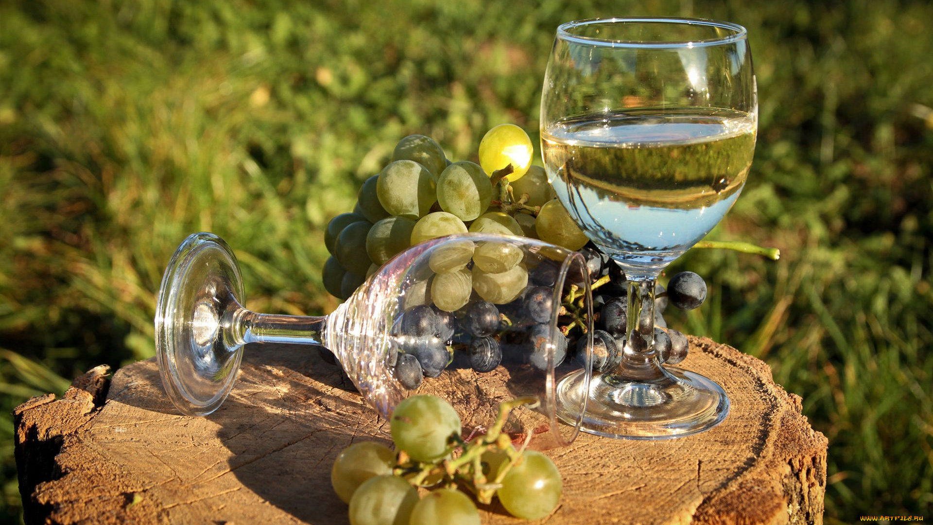 еда, напитки, вино, пень, бокал, виноград