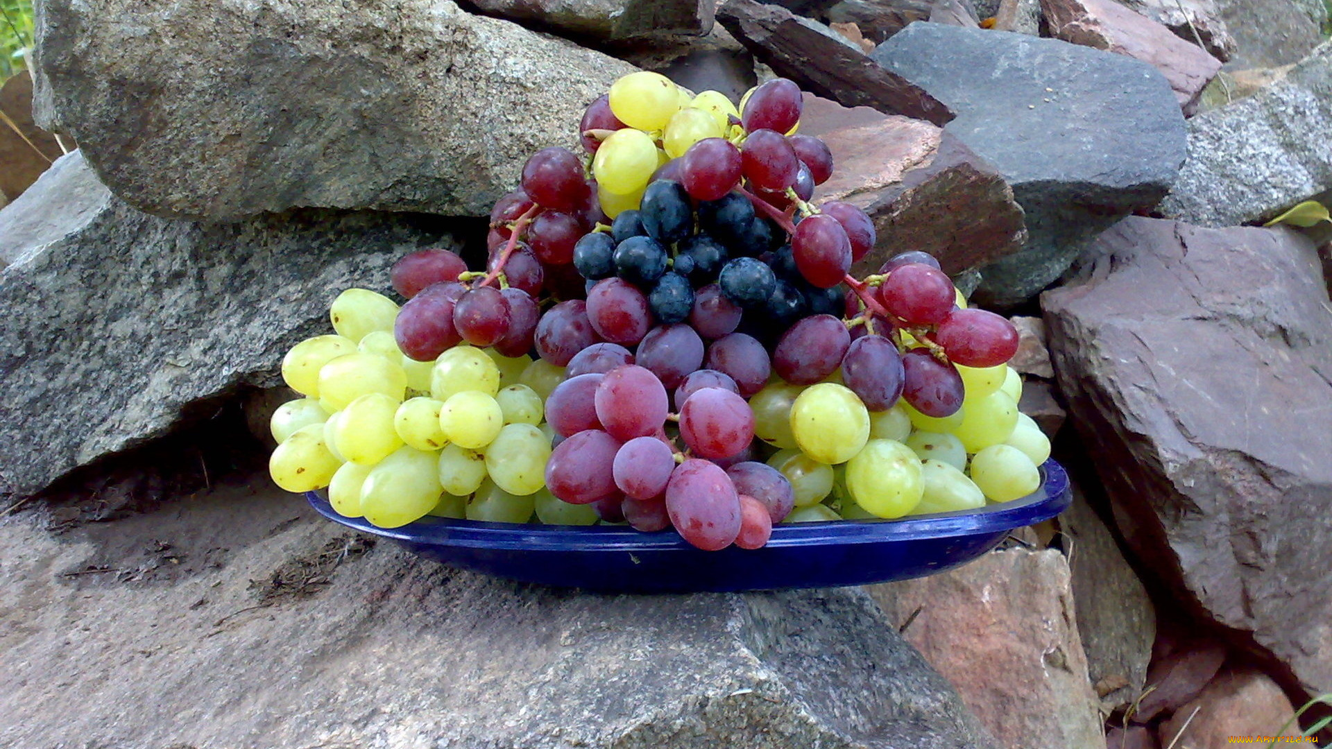 еда, виноград, камни, тарелка, ягоды