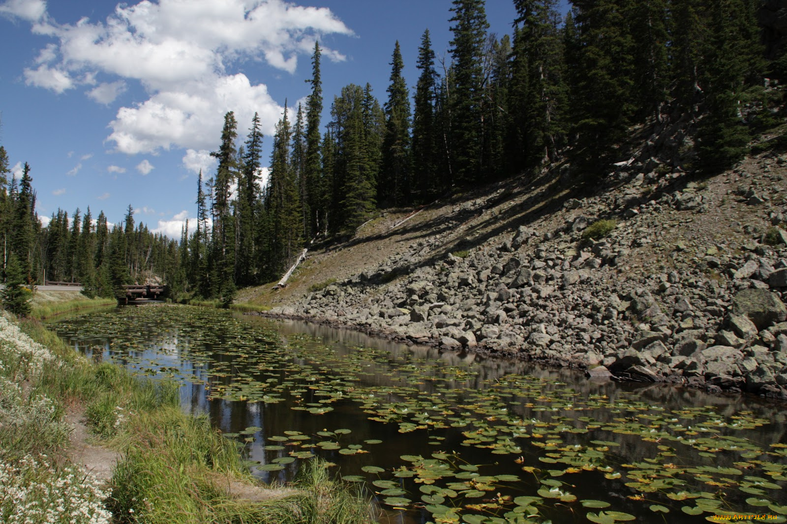 природа, реки, озера, облака, река, лес