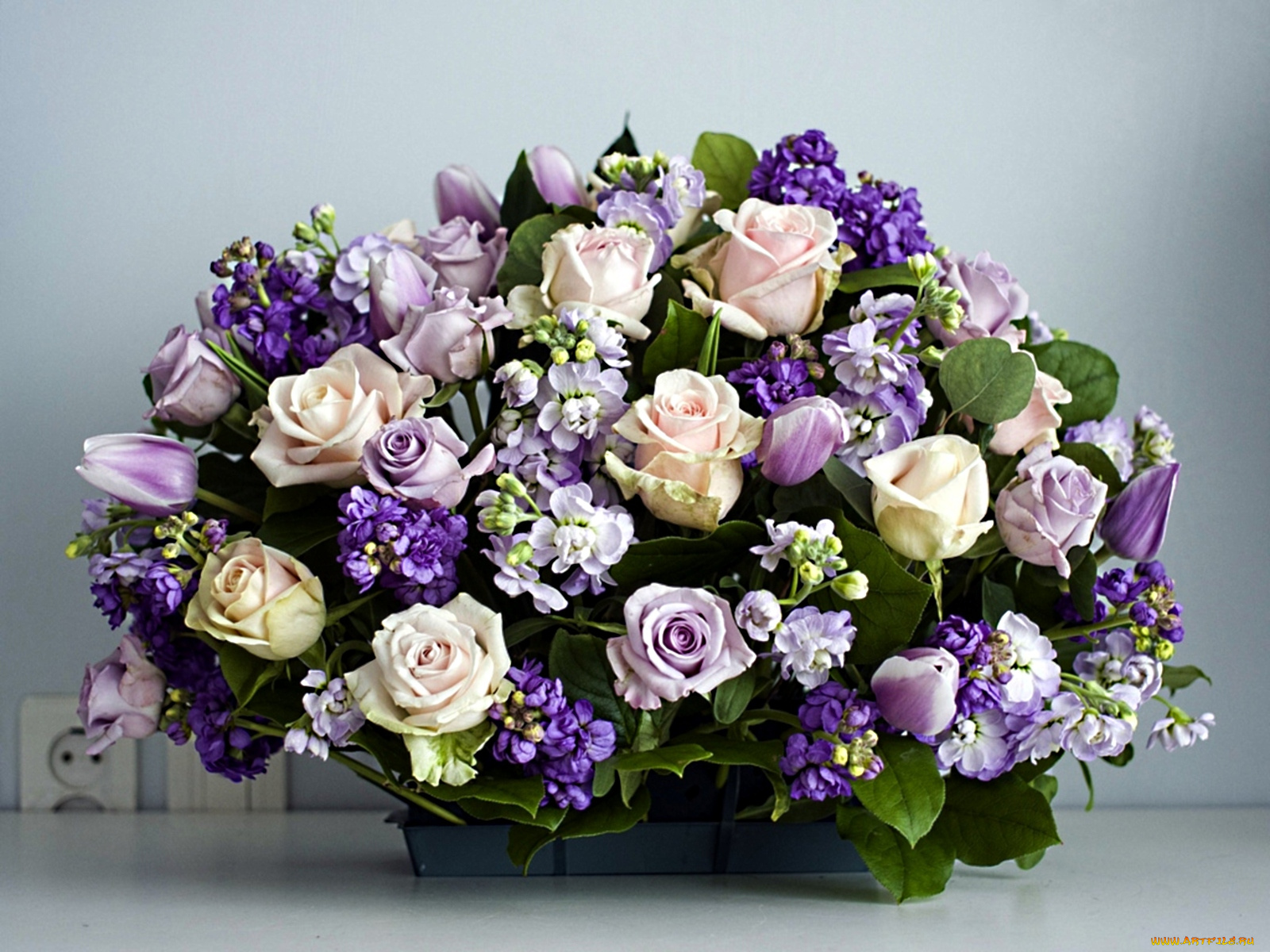 цветы, букеты, композиции, розы, левкой, тюльпаны