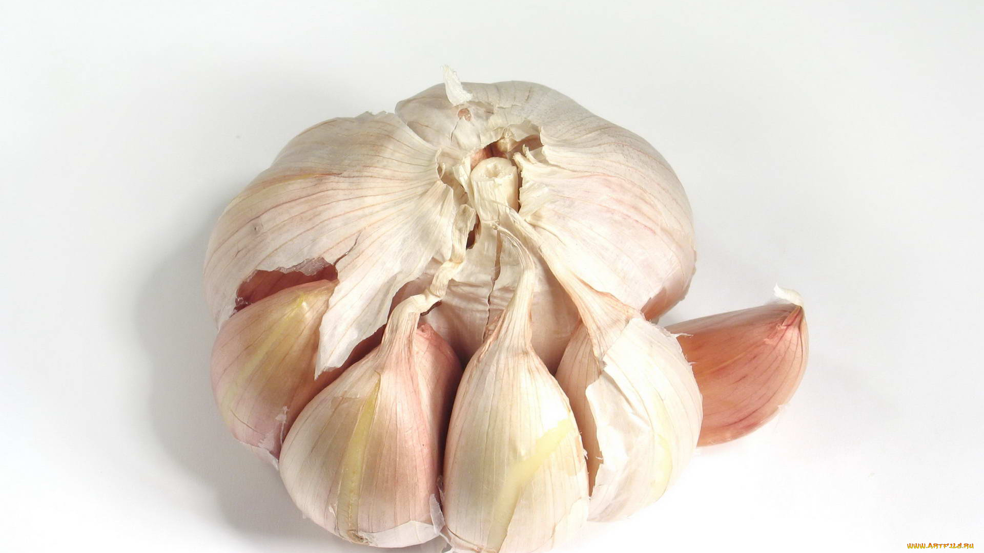 еда, Чеснок, чеснок