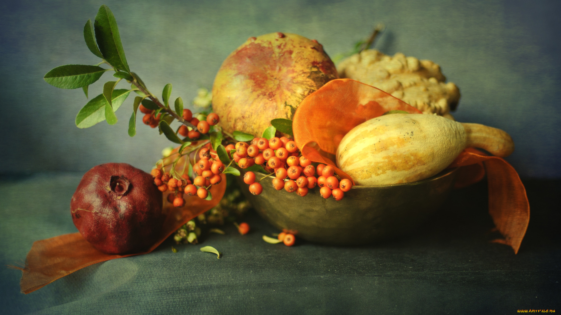 еда, фрукты, овощи, вместе, тыква, гранат, рябина