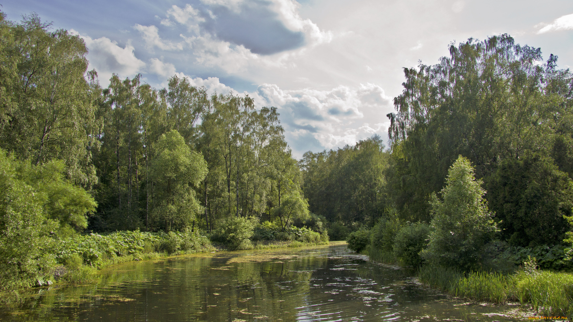 природа, парк, вода, небо, пруд